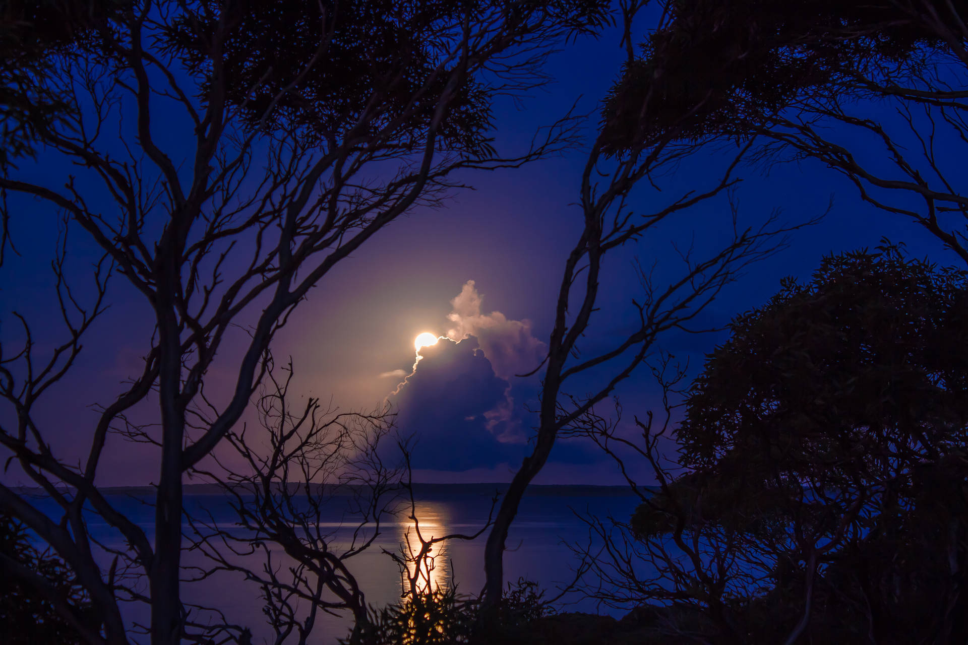 Night Aesthetic Full Moon Hiding Background