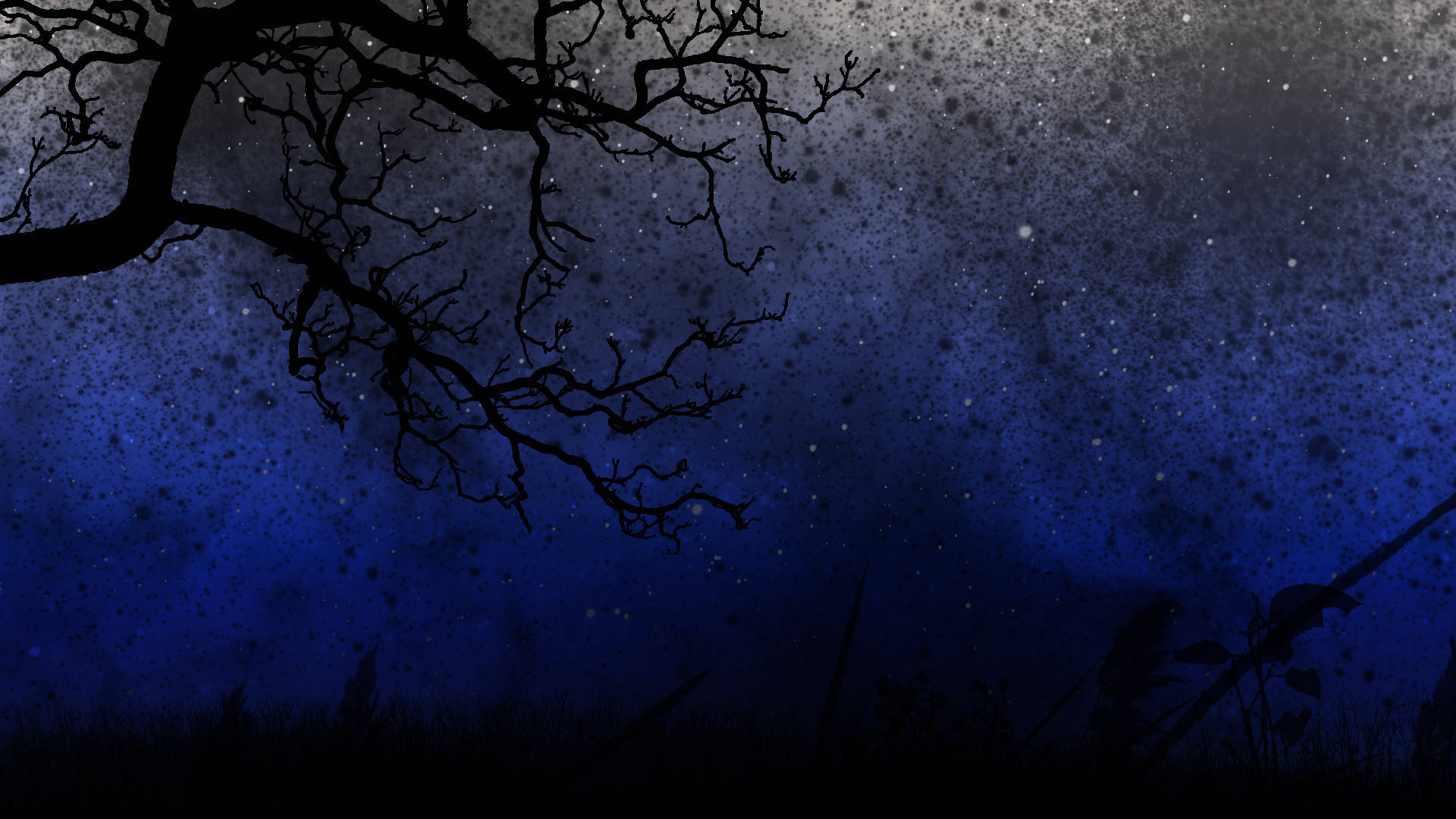 Night Aesthetic Tree Branch Silhouette Background