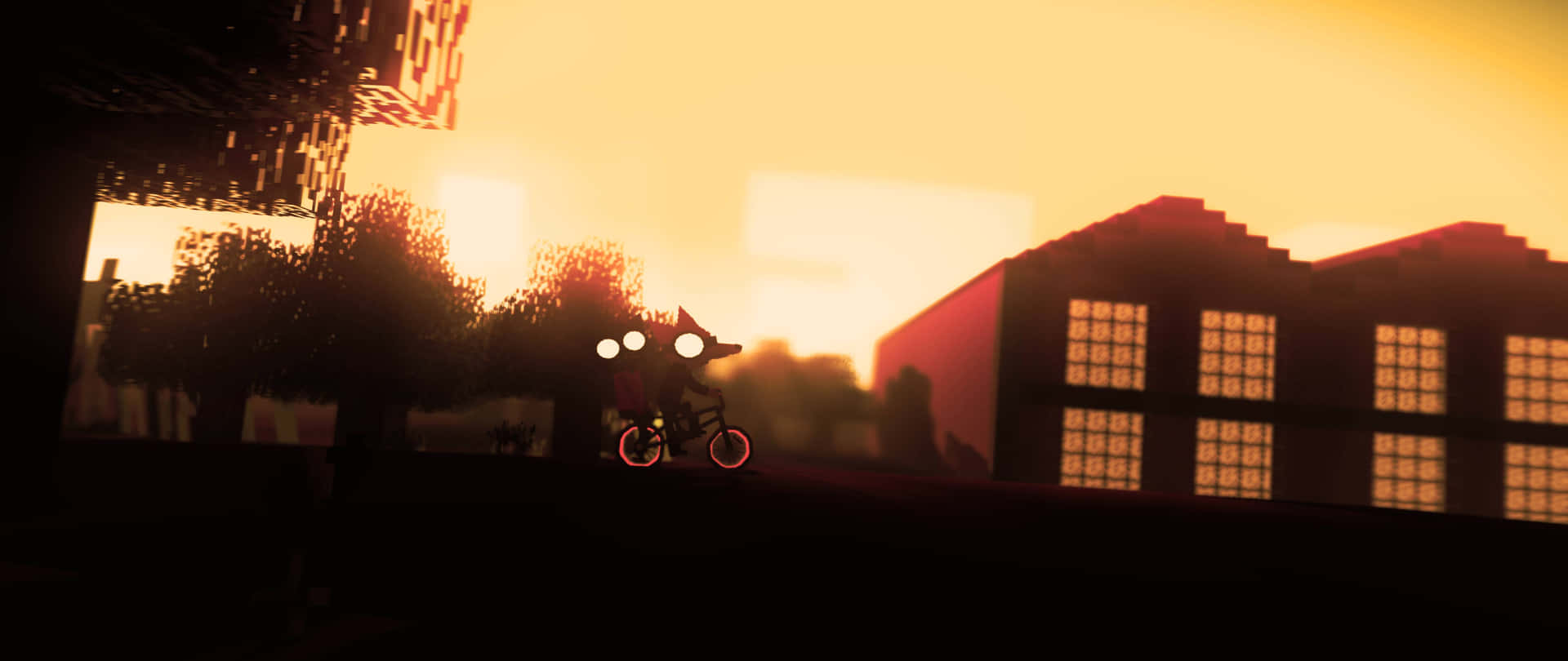 Night In The Woods Biking Background