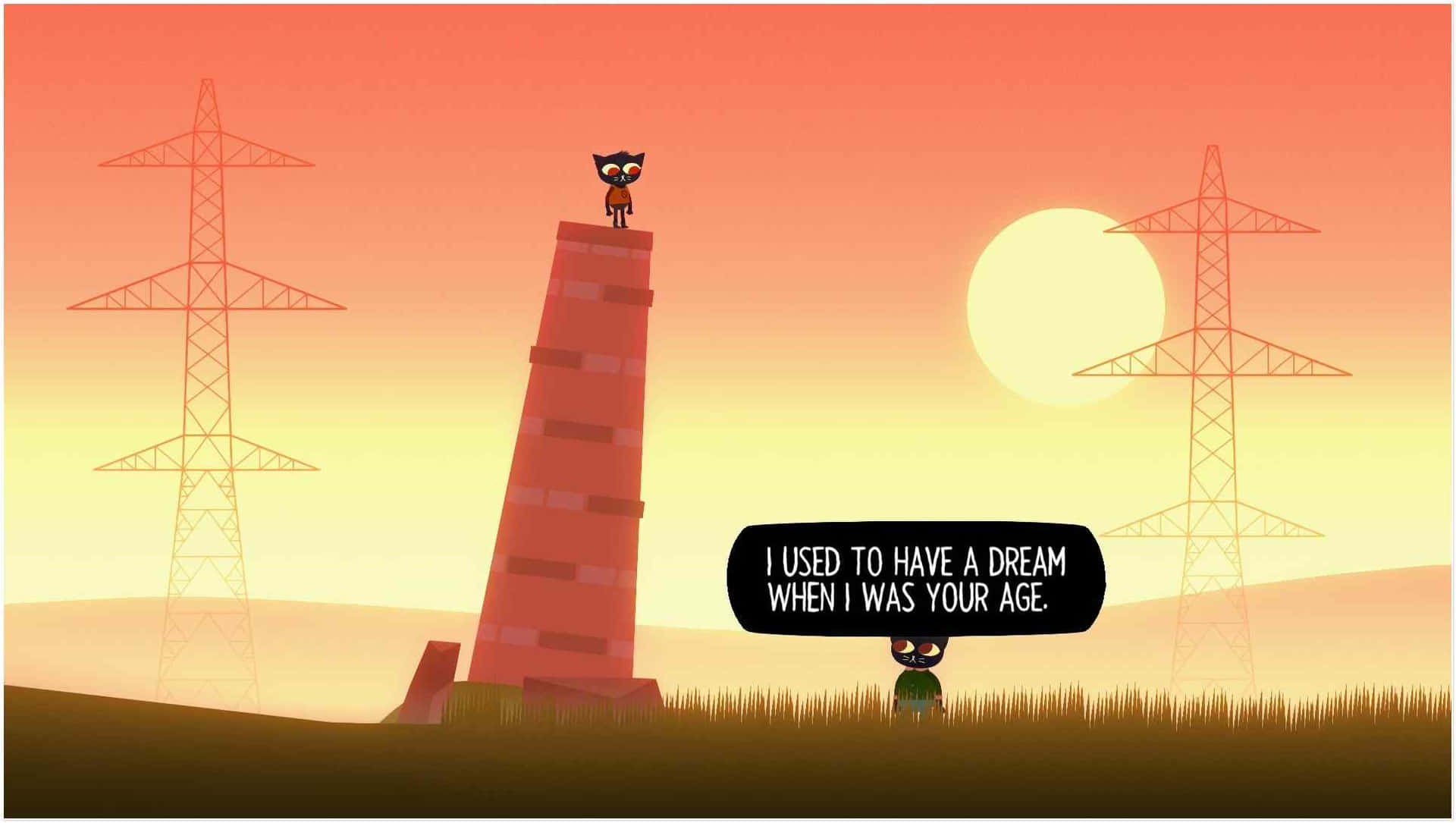 Night In The Woods On Tower Background