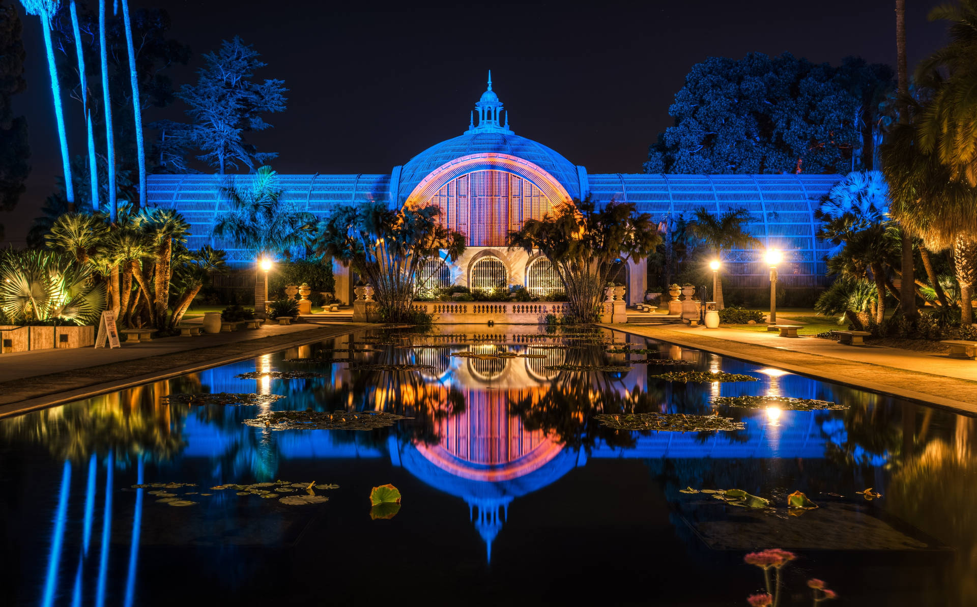 Night Lights Inside Balboa Park Background