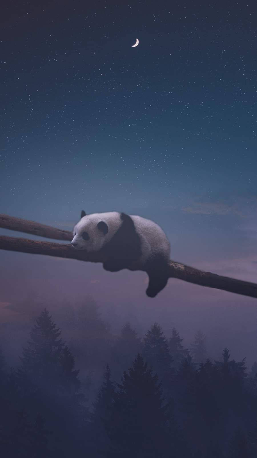 Night Panda Sleep