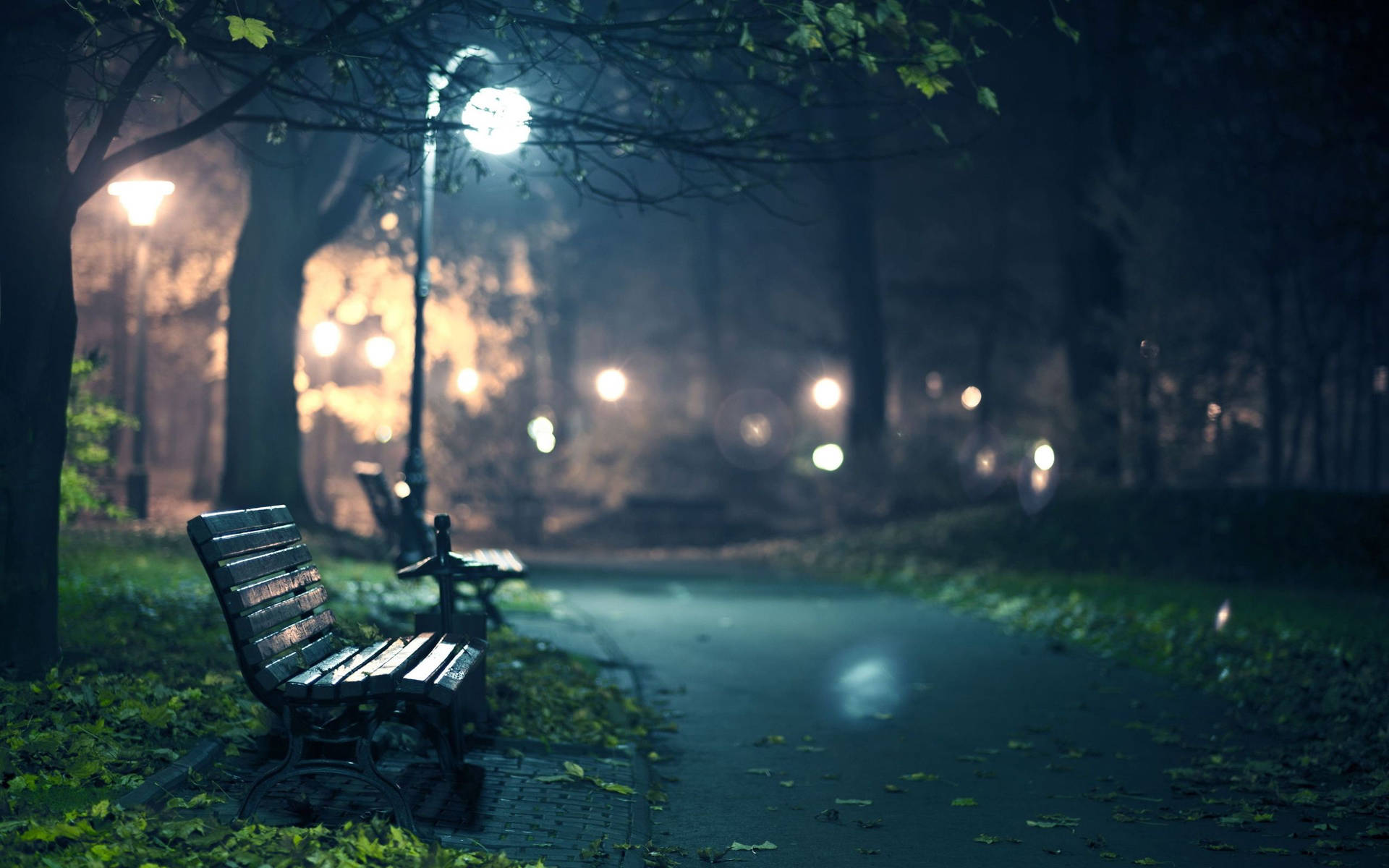 Night Park Bench Background