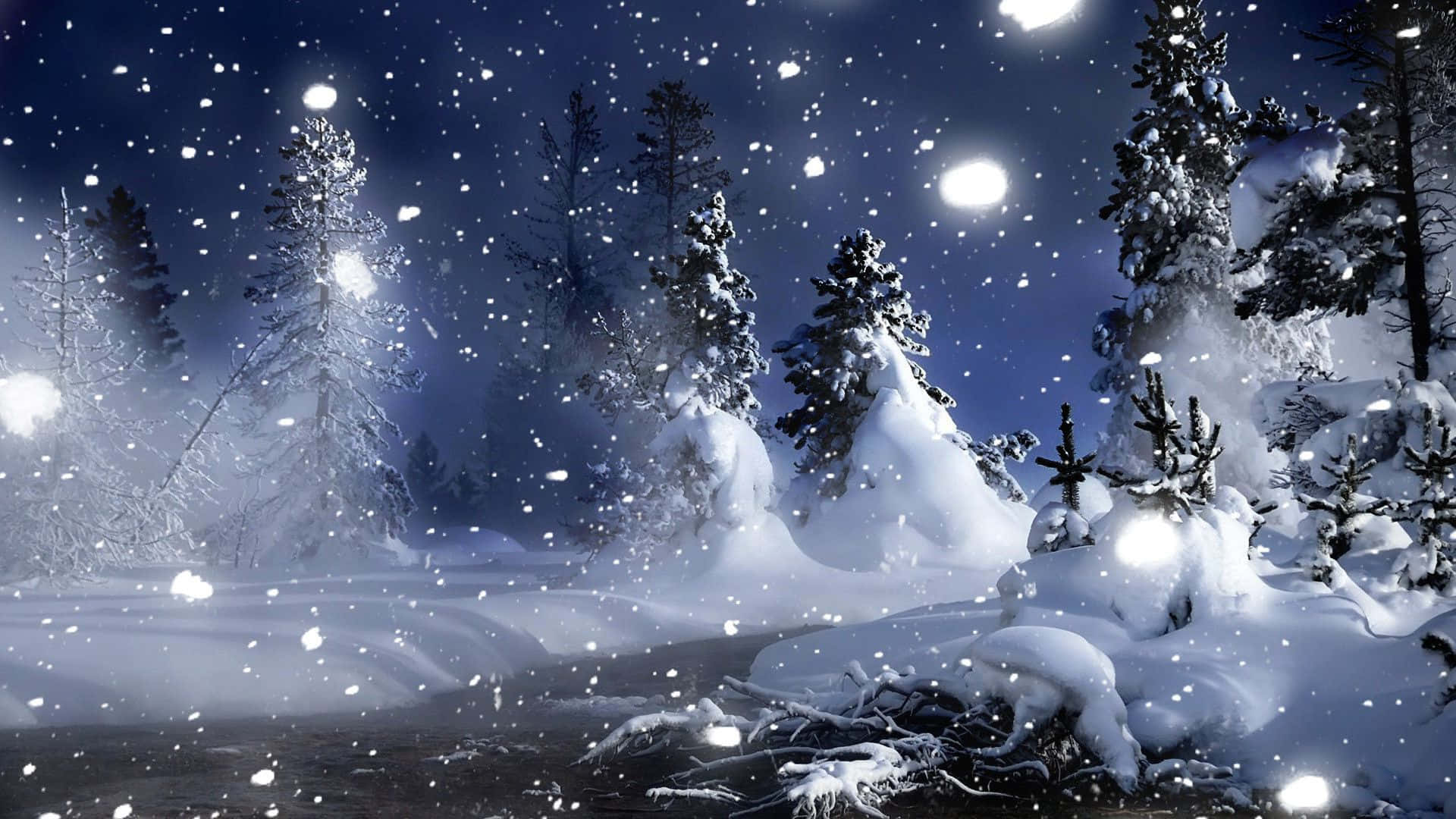 Night Scene Winter Wonderland Desktop