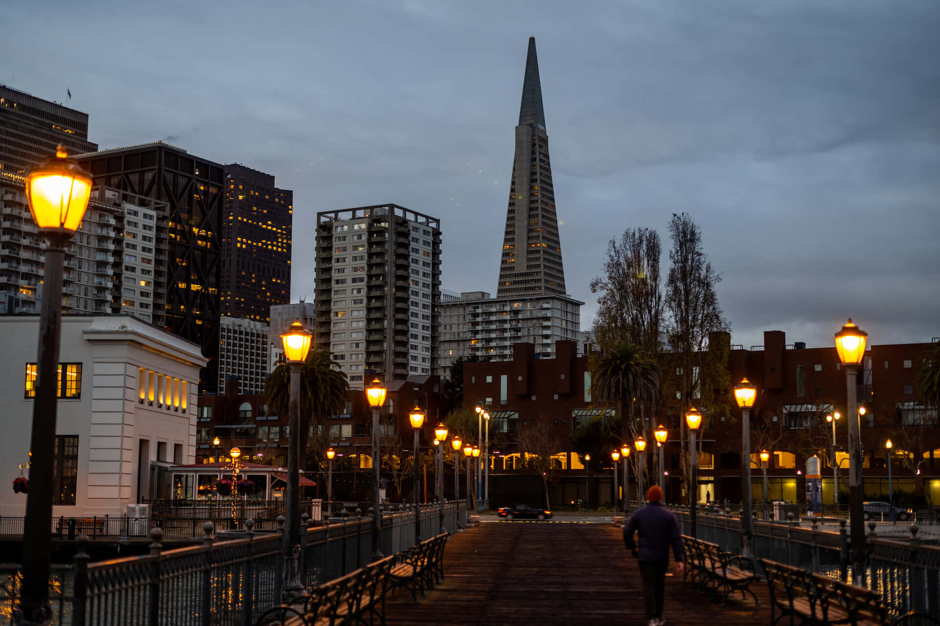 Night View Of Transamerica Pyramid