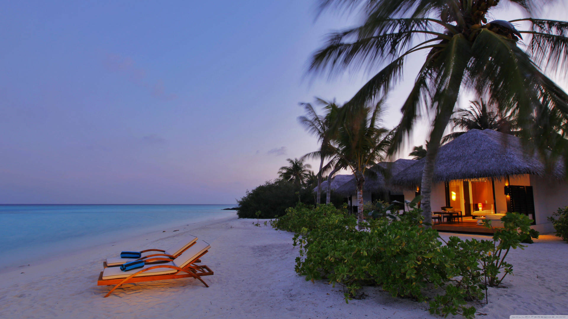 Nighttime Beach Scenes Desktop Background