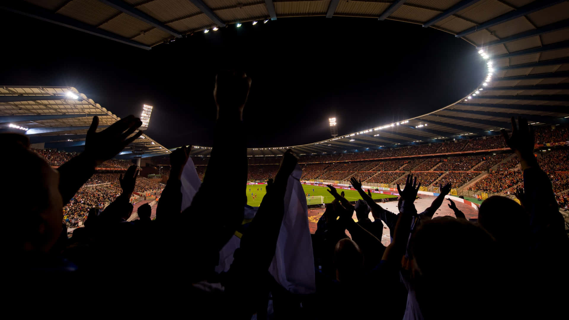 Nighttime Soccer Stadium Cheering Fans