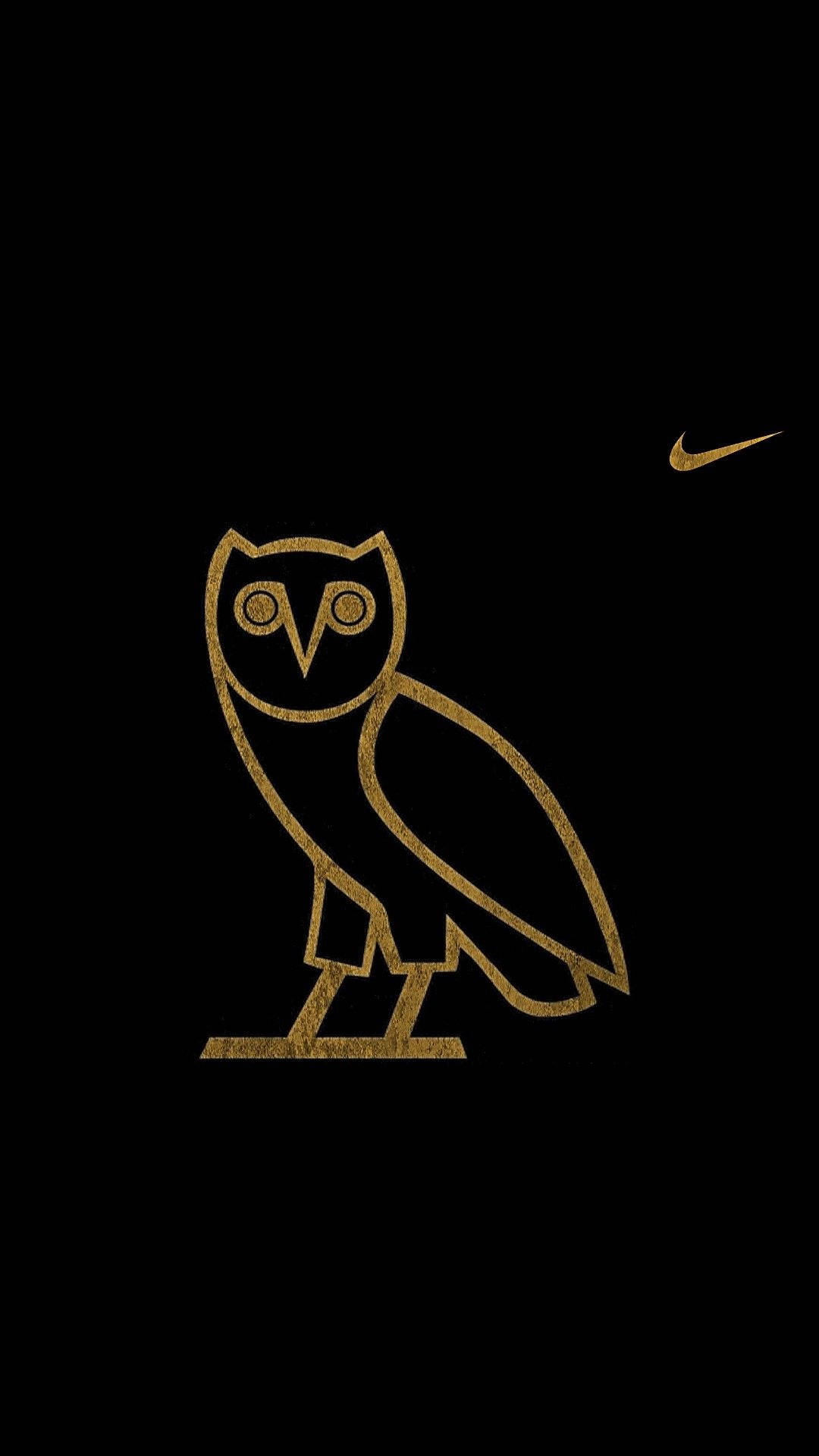 Nike Emblem With Cool Owl Background