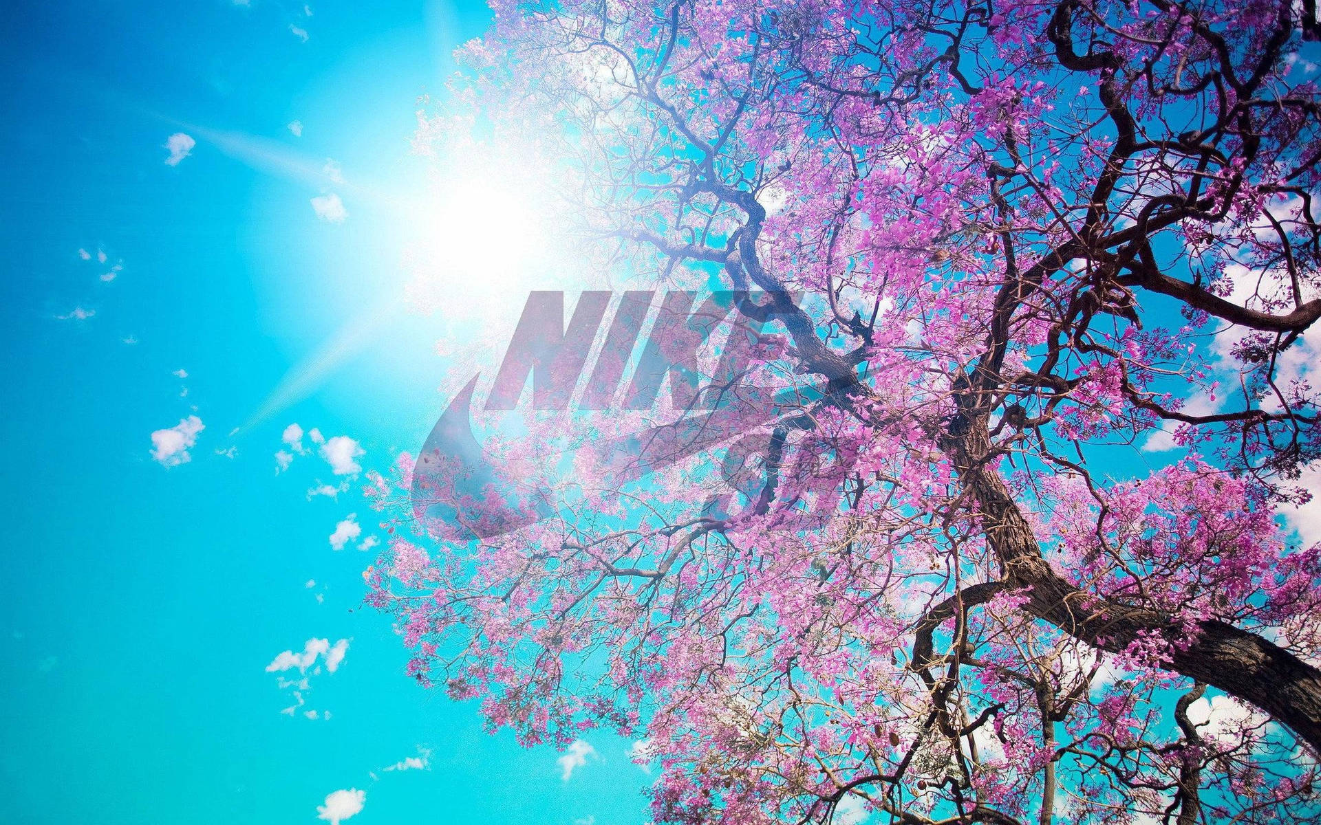 Nike Girl Cherry Blossom Tree Poster Background