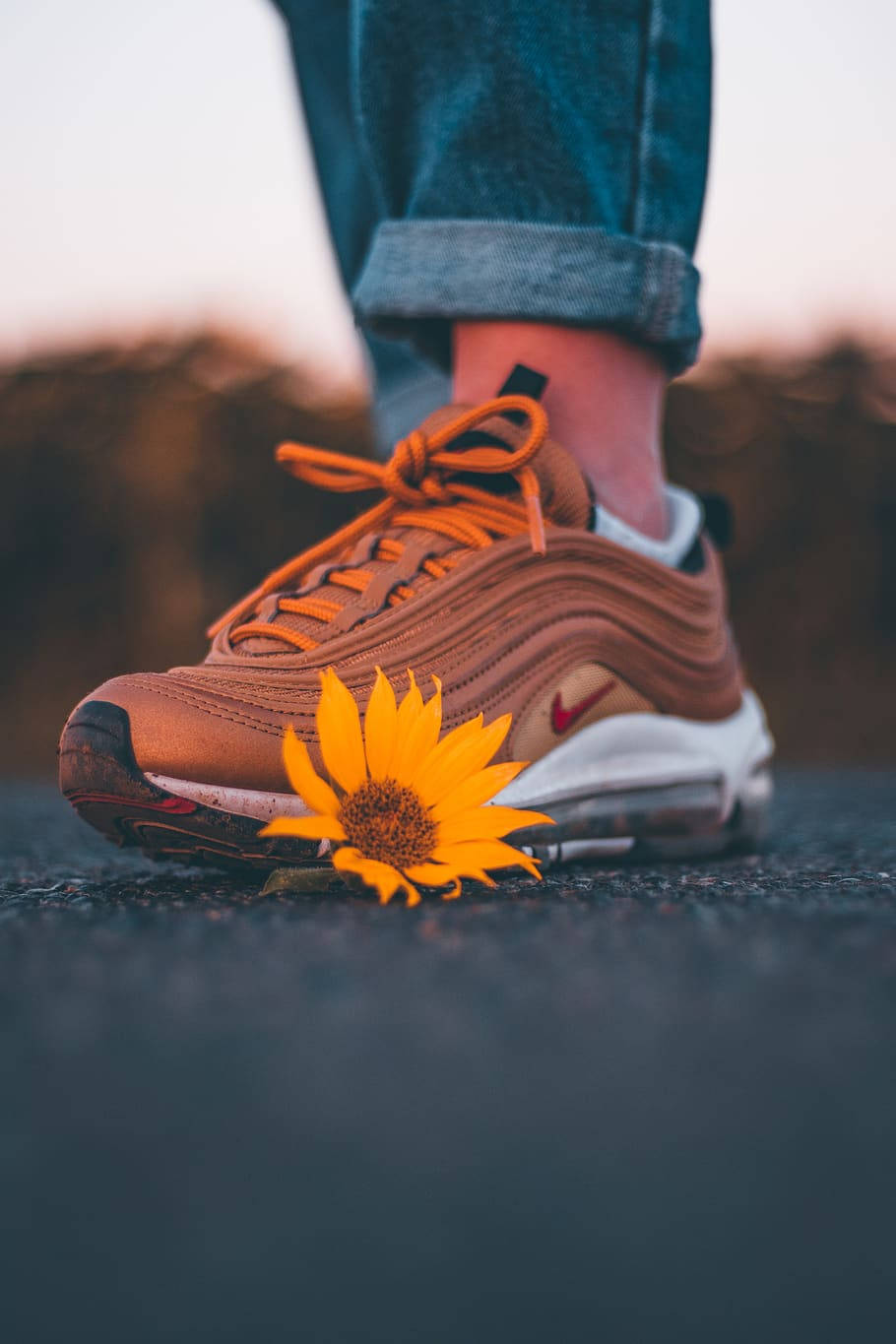 Nike Shoes And Sunflower Background