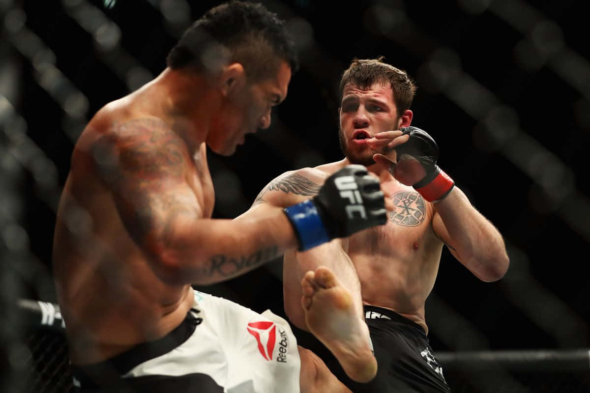 Nikita Krylov Attacking Opponent Background