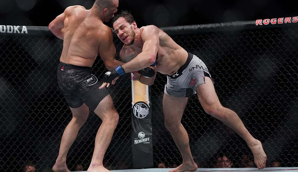 Nikita Krylov Being Punched Background