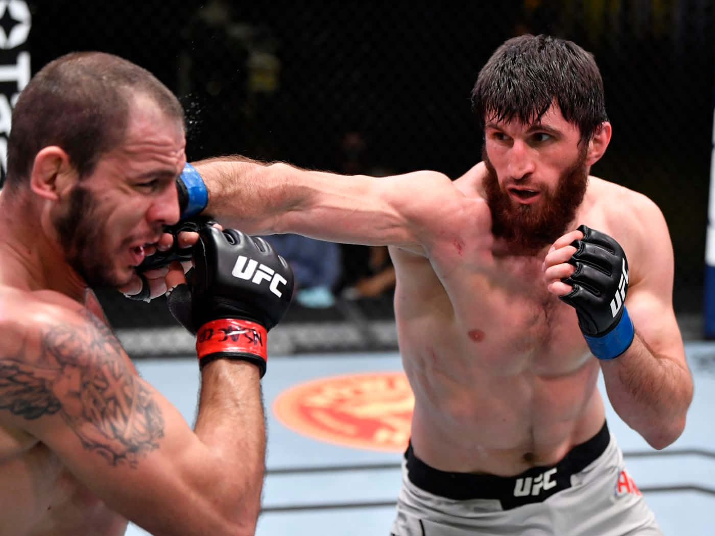 Nikita Krylov Getting Punched Background