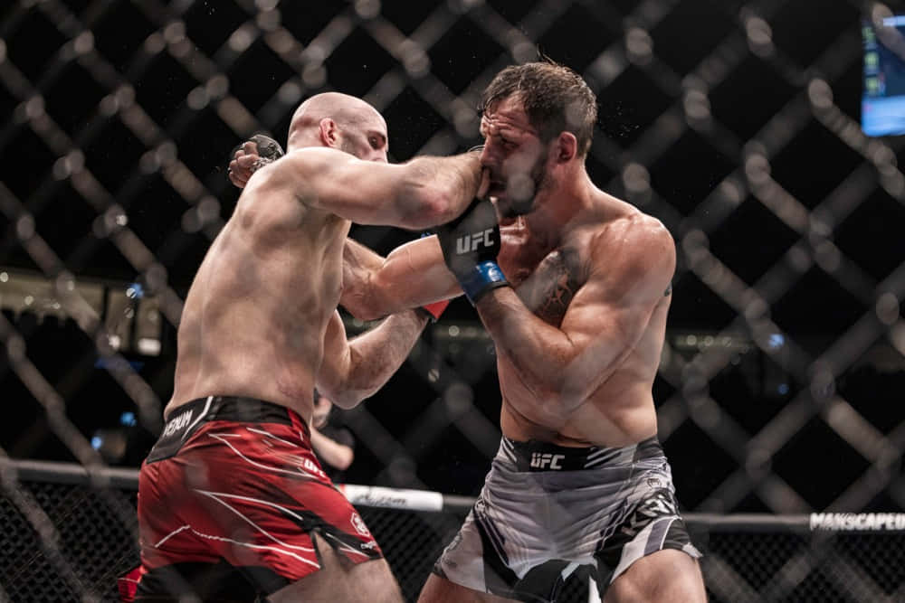 Nikita Krylov Hit By Opponent Background