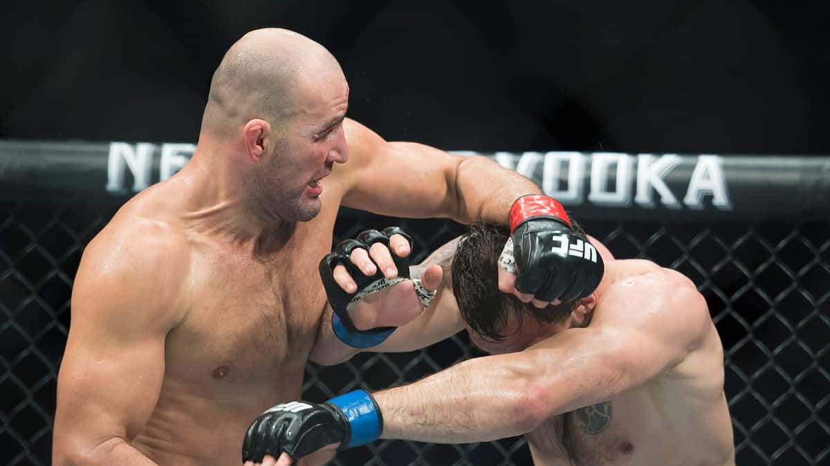 Nikita Krylov In The Ring Against Glover Teixeira Background
