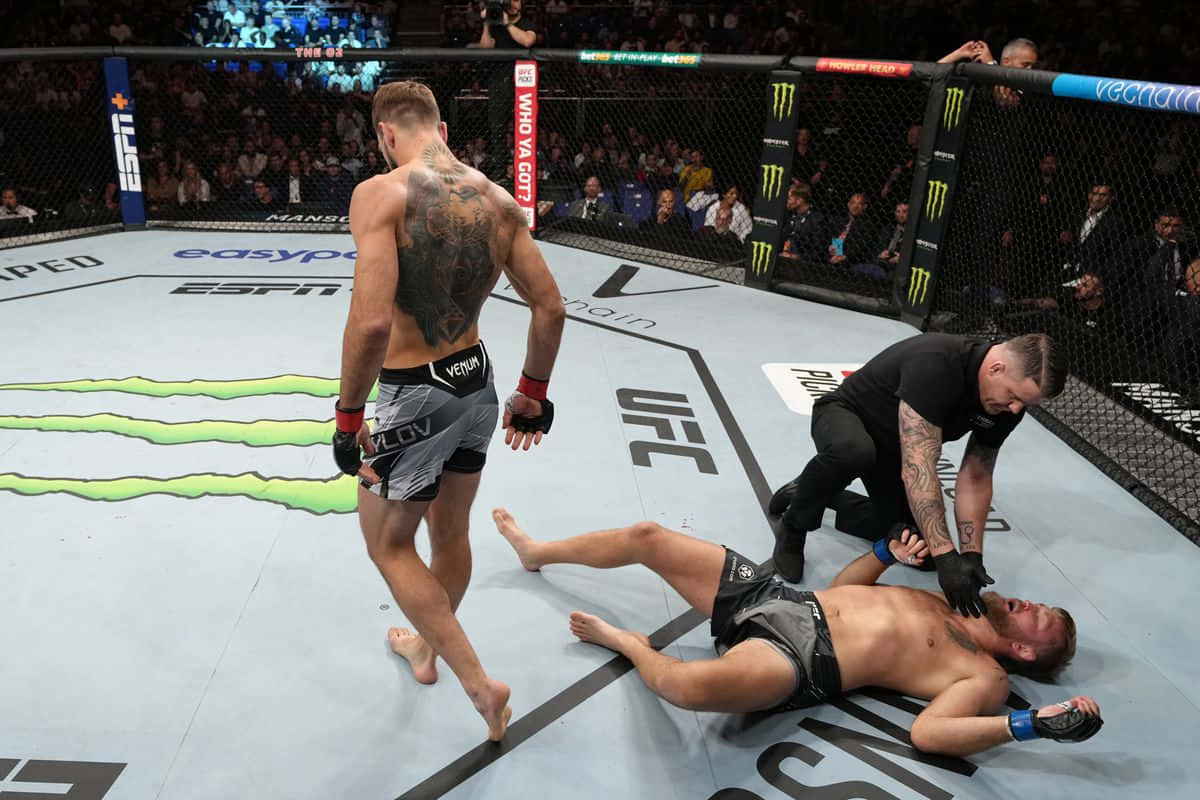 Nikita Krylov Knock-out Background