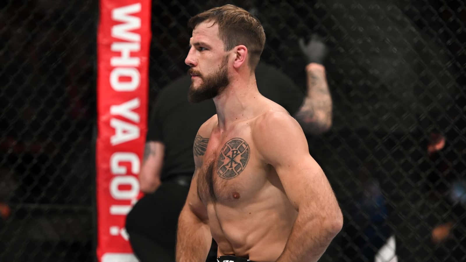 Nikita Krylov, Mma Pro Fighter, Posing In A Serious Stance Background