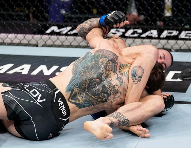 Nikita Krylov Opponent On The Ground Background