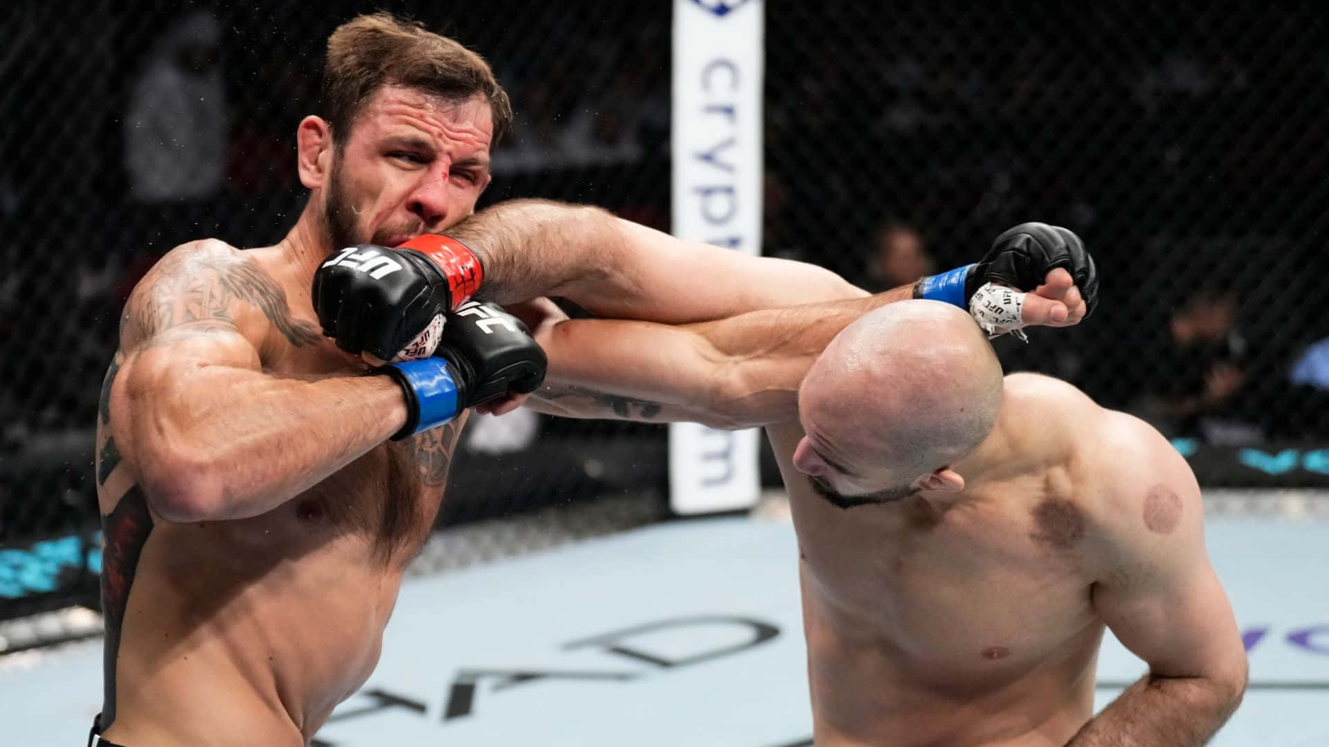 Nikita Krylov Punched In The Mouth Background