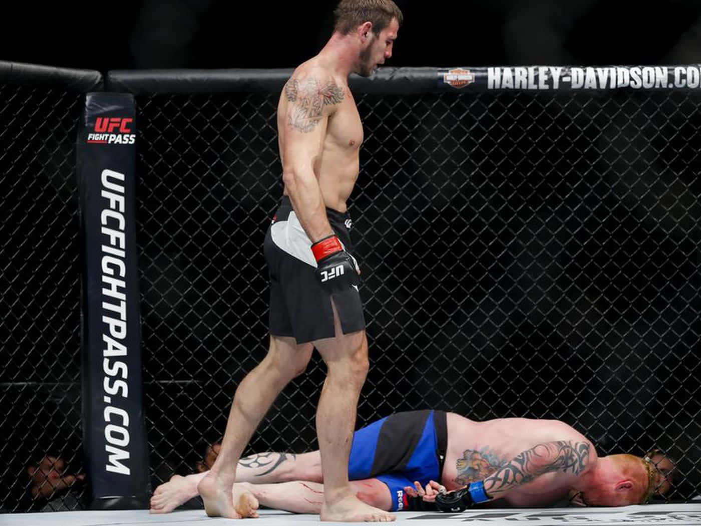 Nikita Krylov Victorious In Combat Background