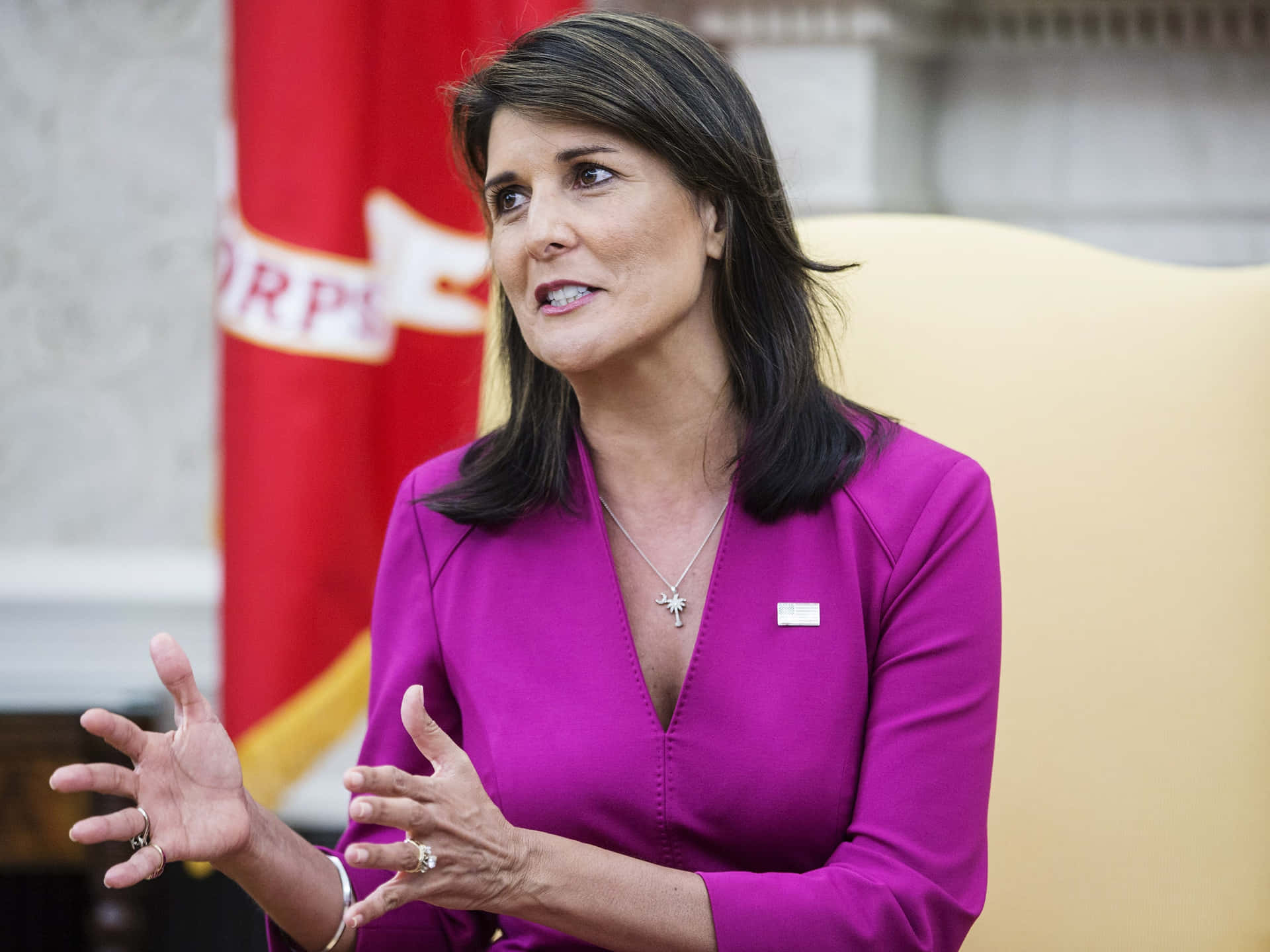 Nikki Haley Dressed In Formal Attire Background