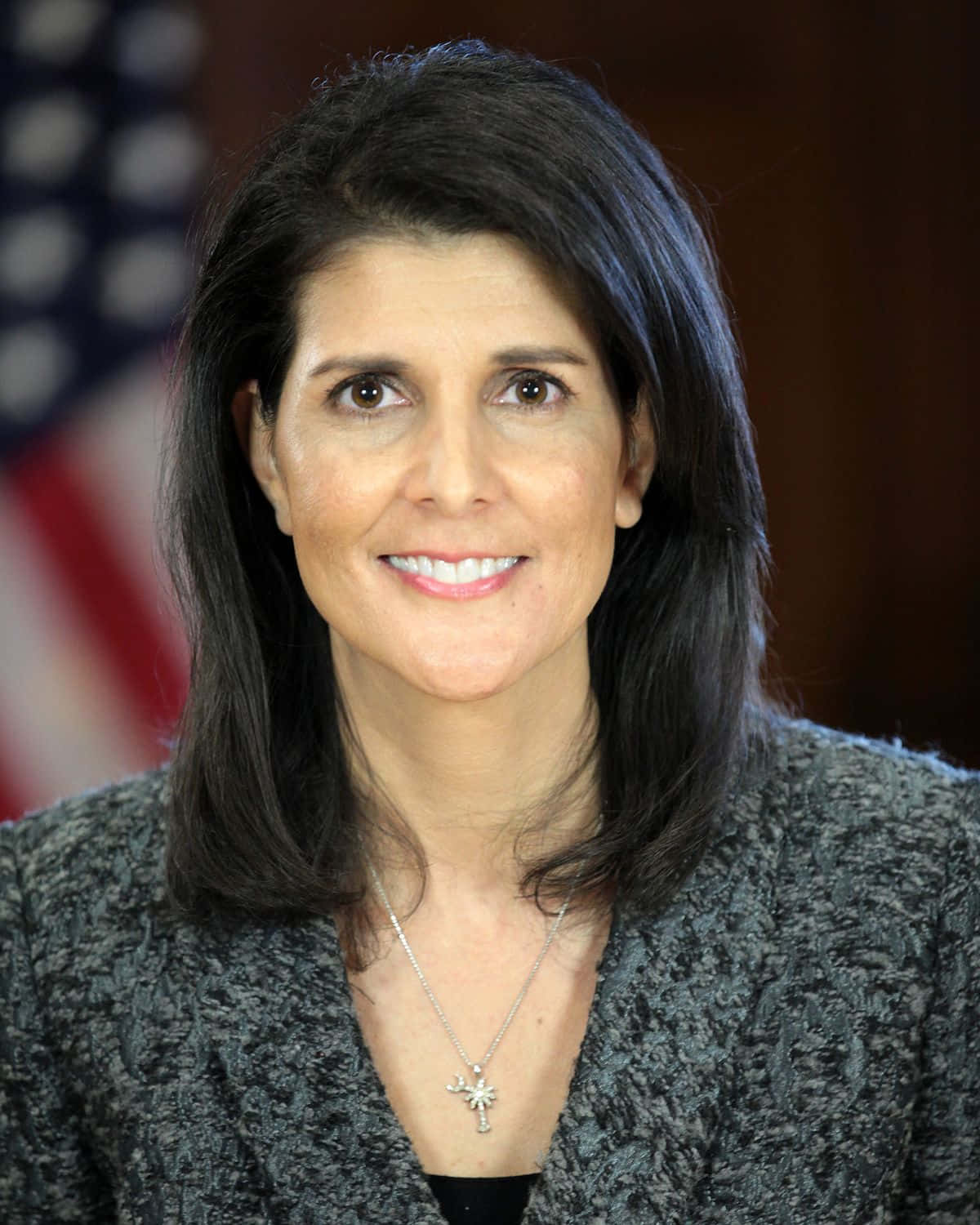 Nikki Haley Radiant In Formal Attire Background