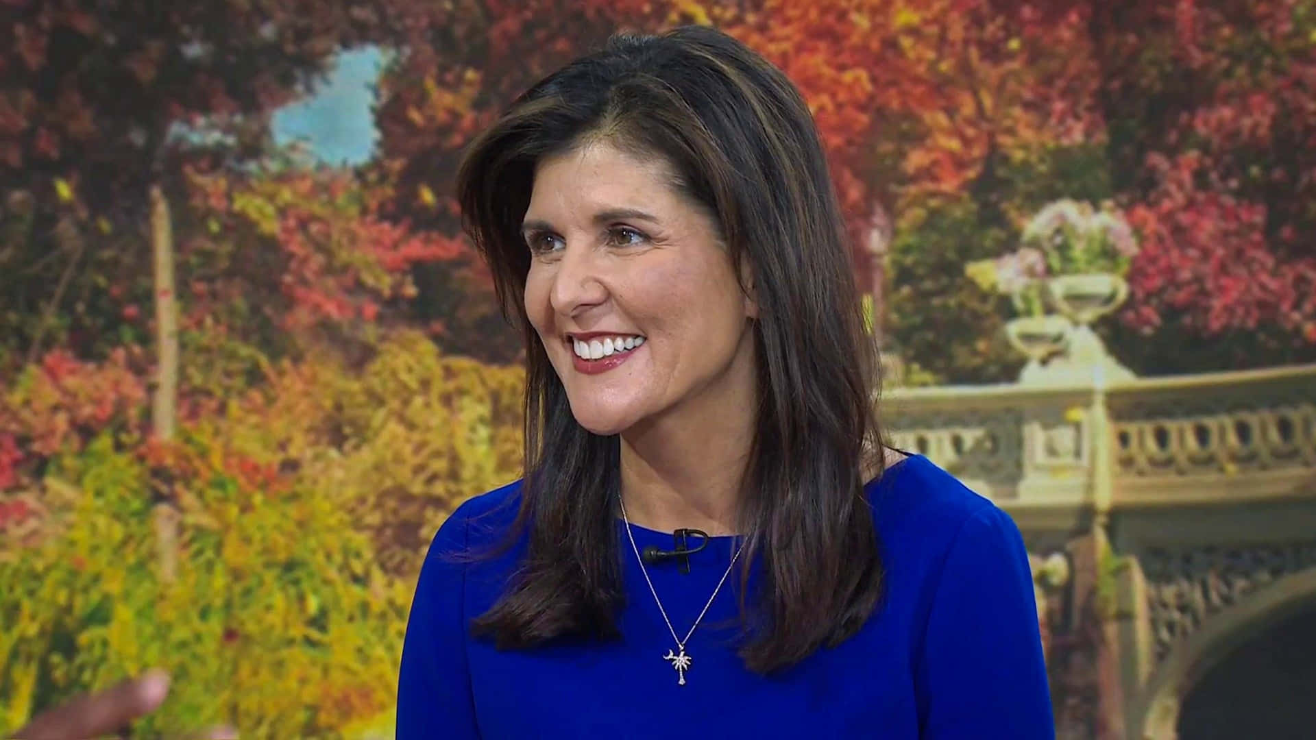 Nikki Haley Smiling Background