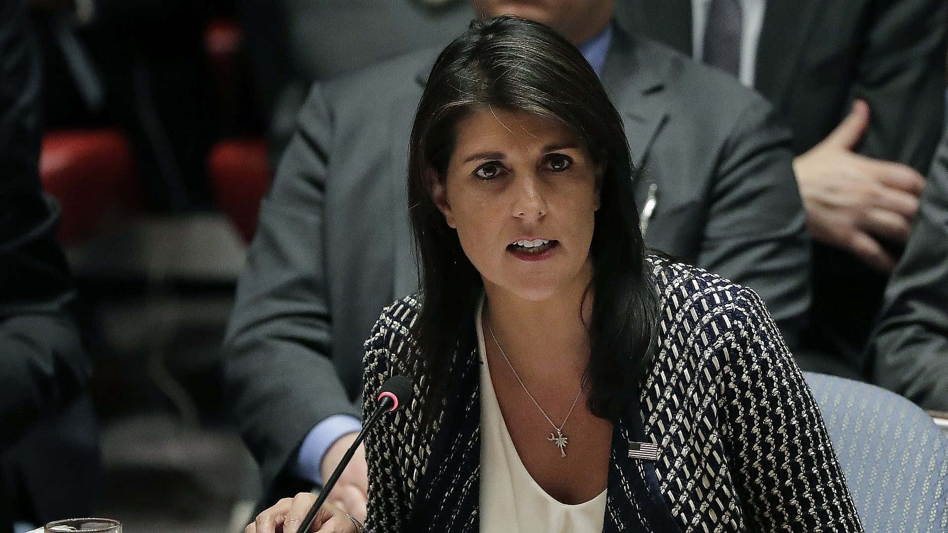 Nikki Haley With A Mic Background