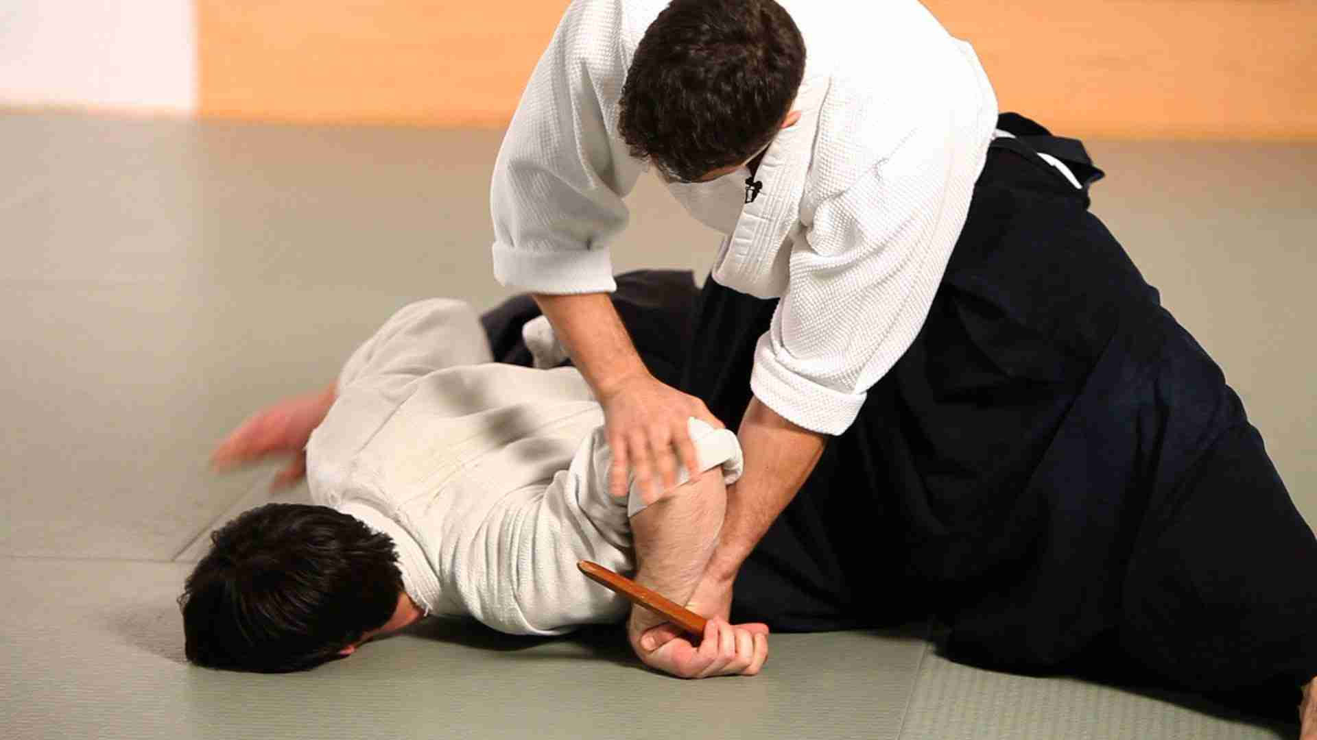 Nikyo Aikido Technique In Dojo Background