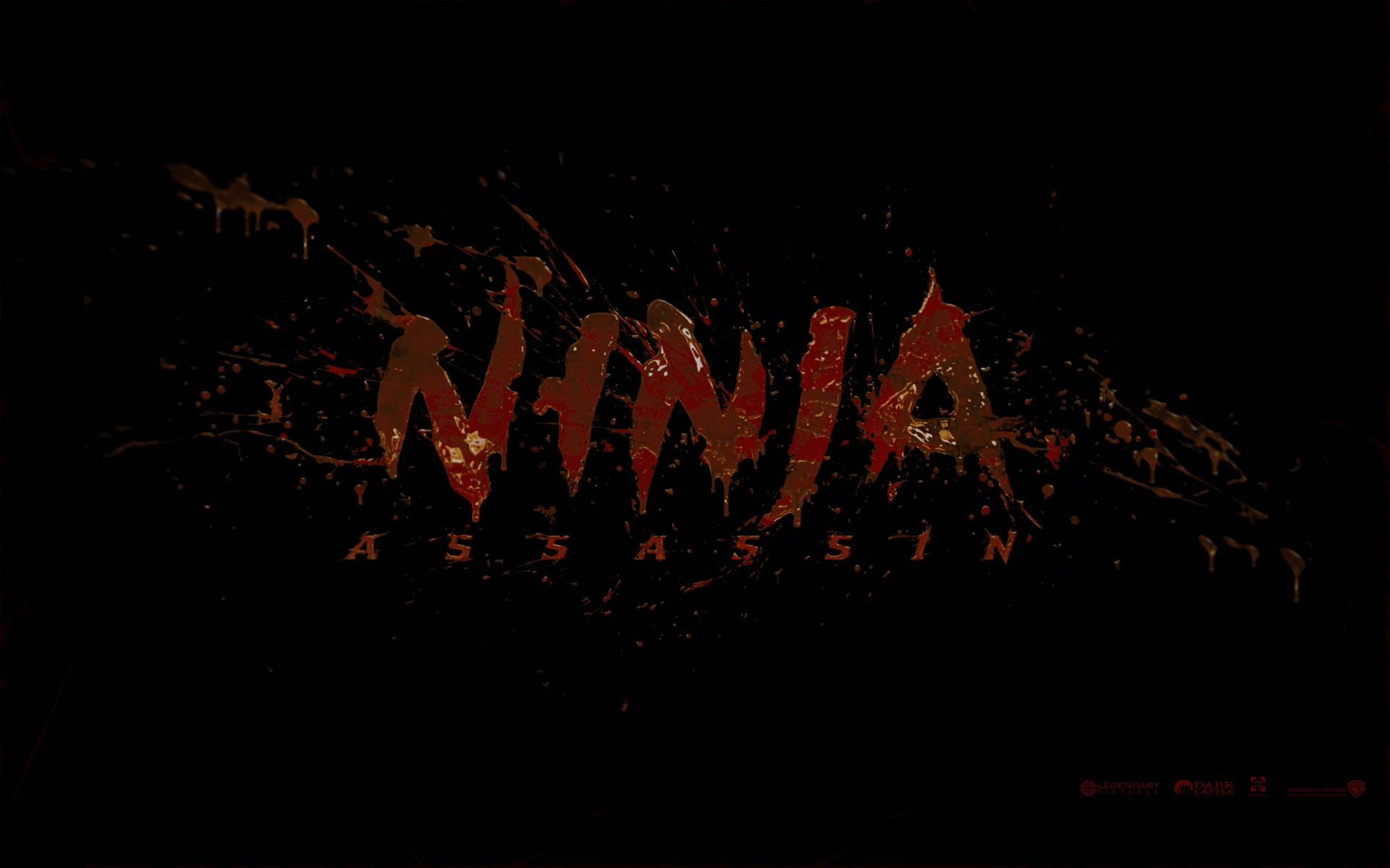 Ninja Assassin Poster Background