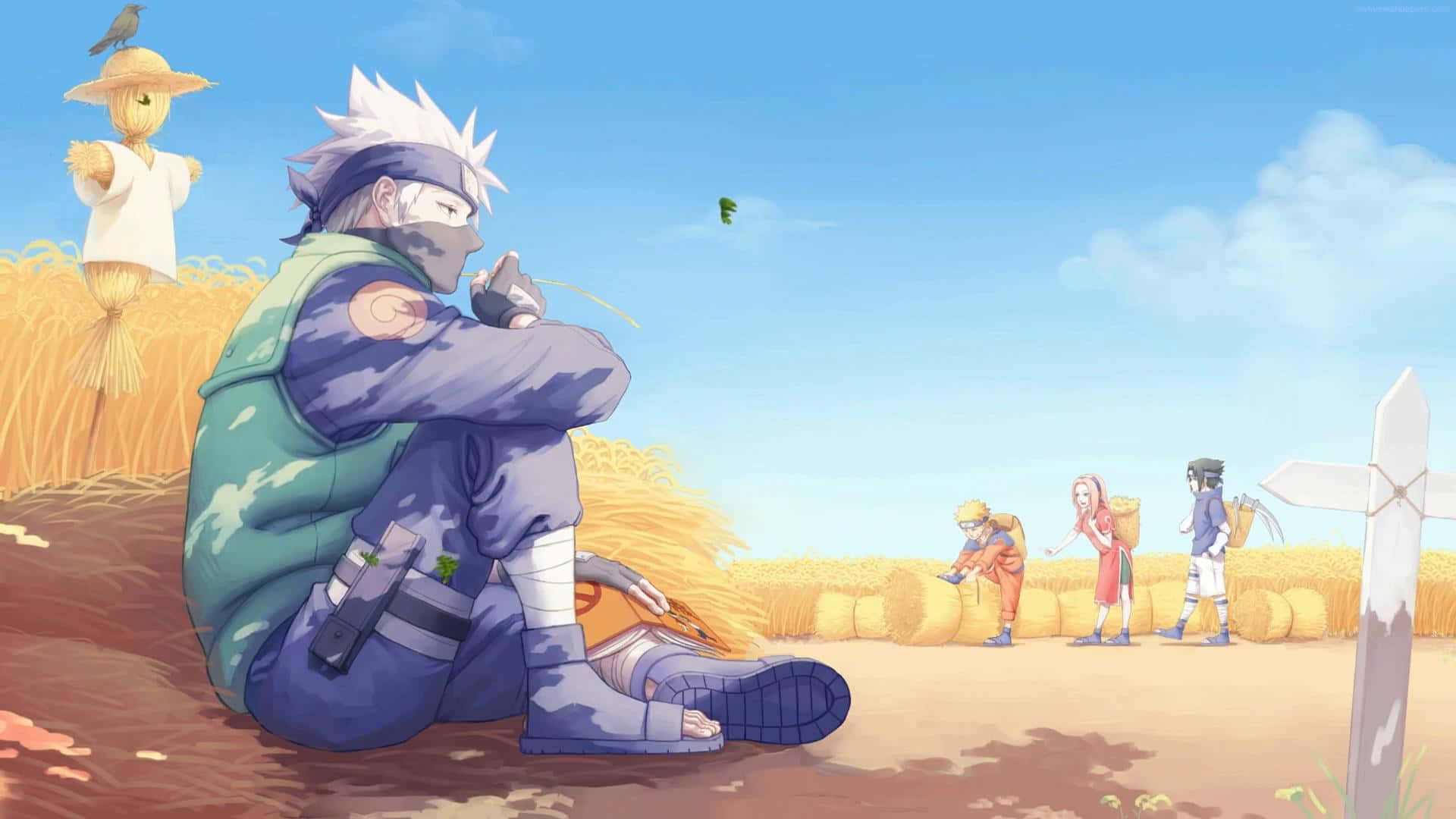 Ninja Rest In Golden Fields Background