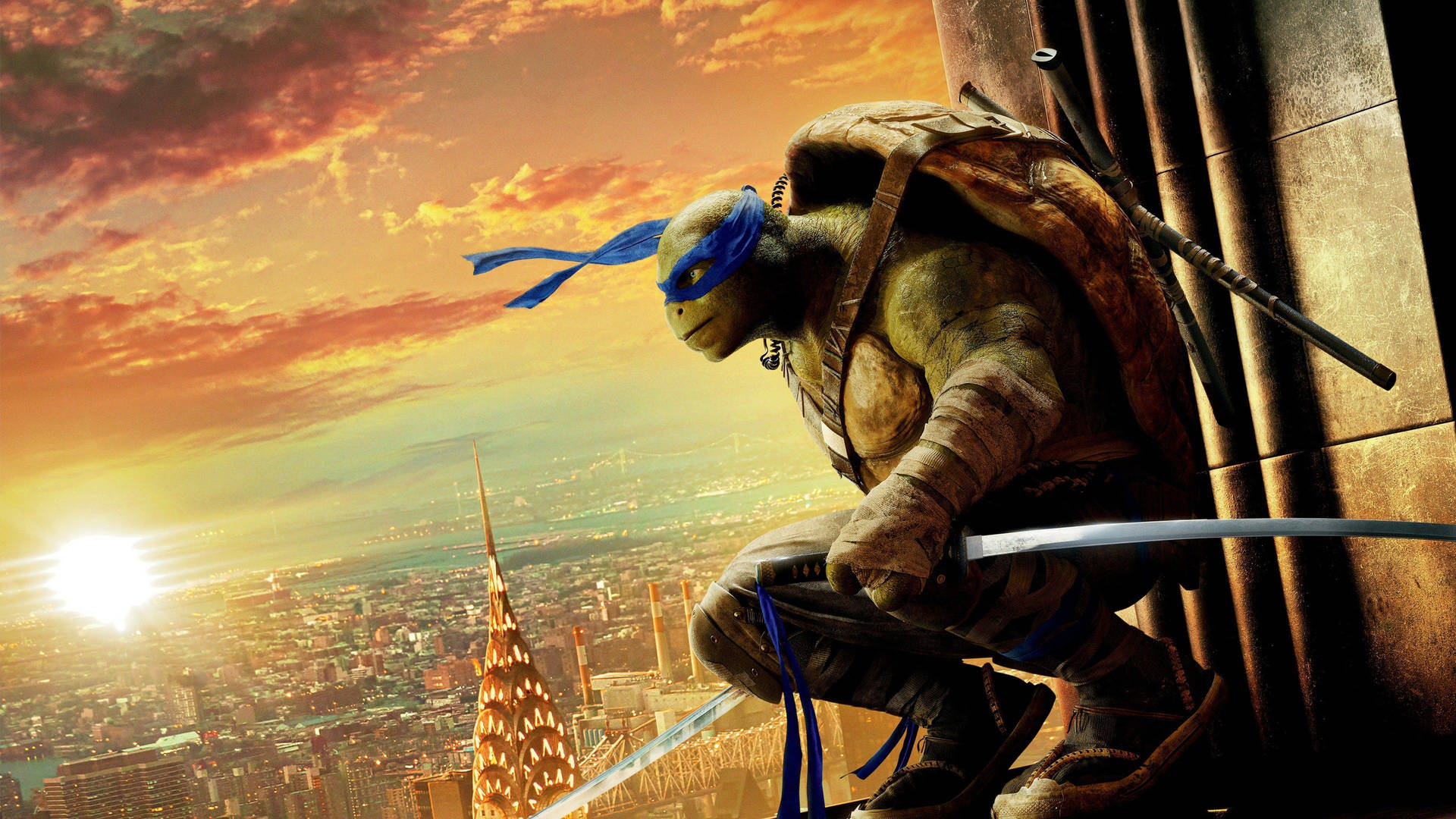 Ninja Turtle Leonardo Hollywood Movie