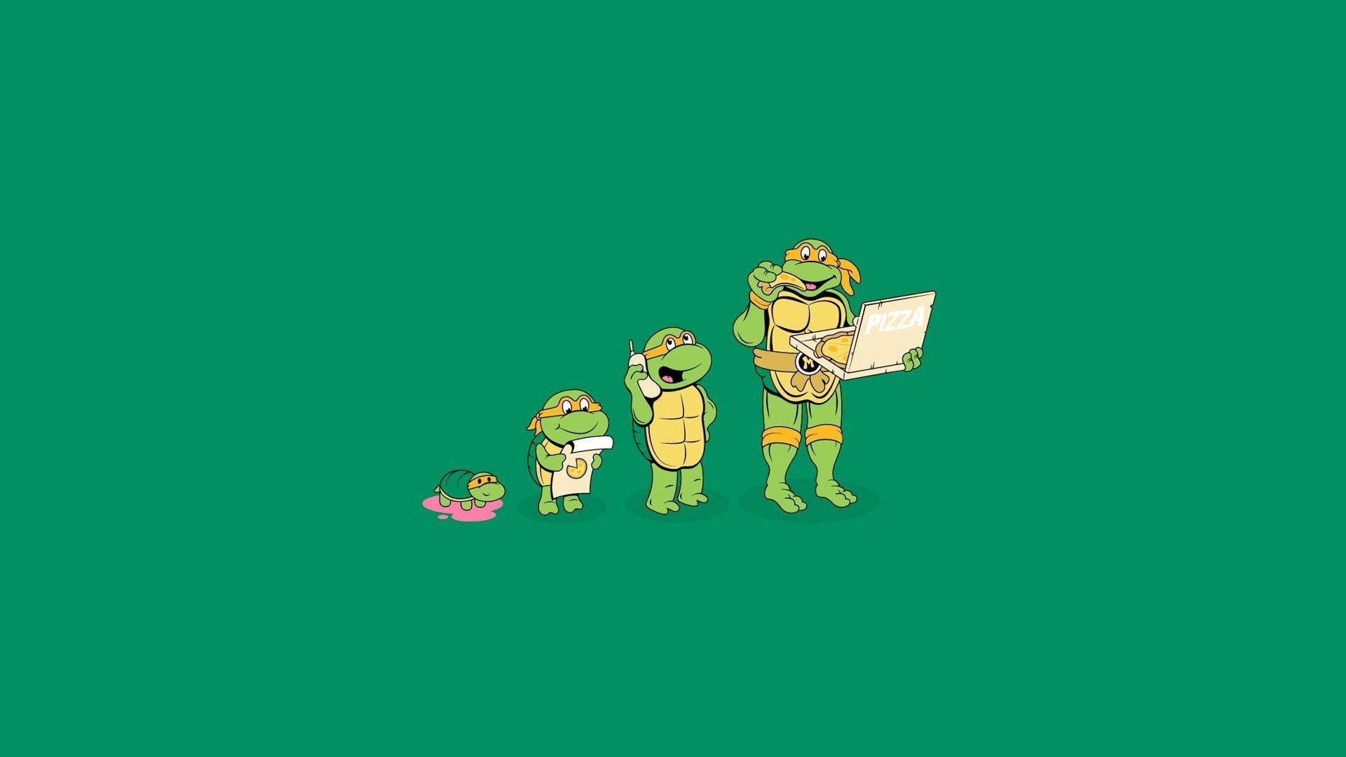 Ninja Turtles Michelangelo Cartoon Background