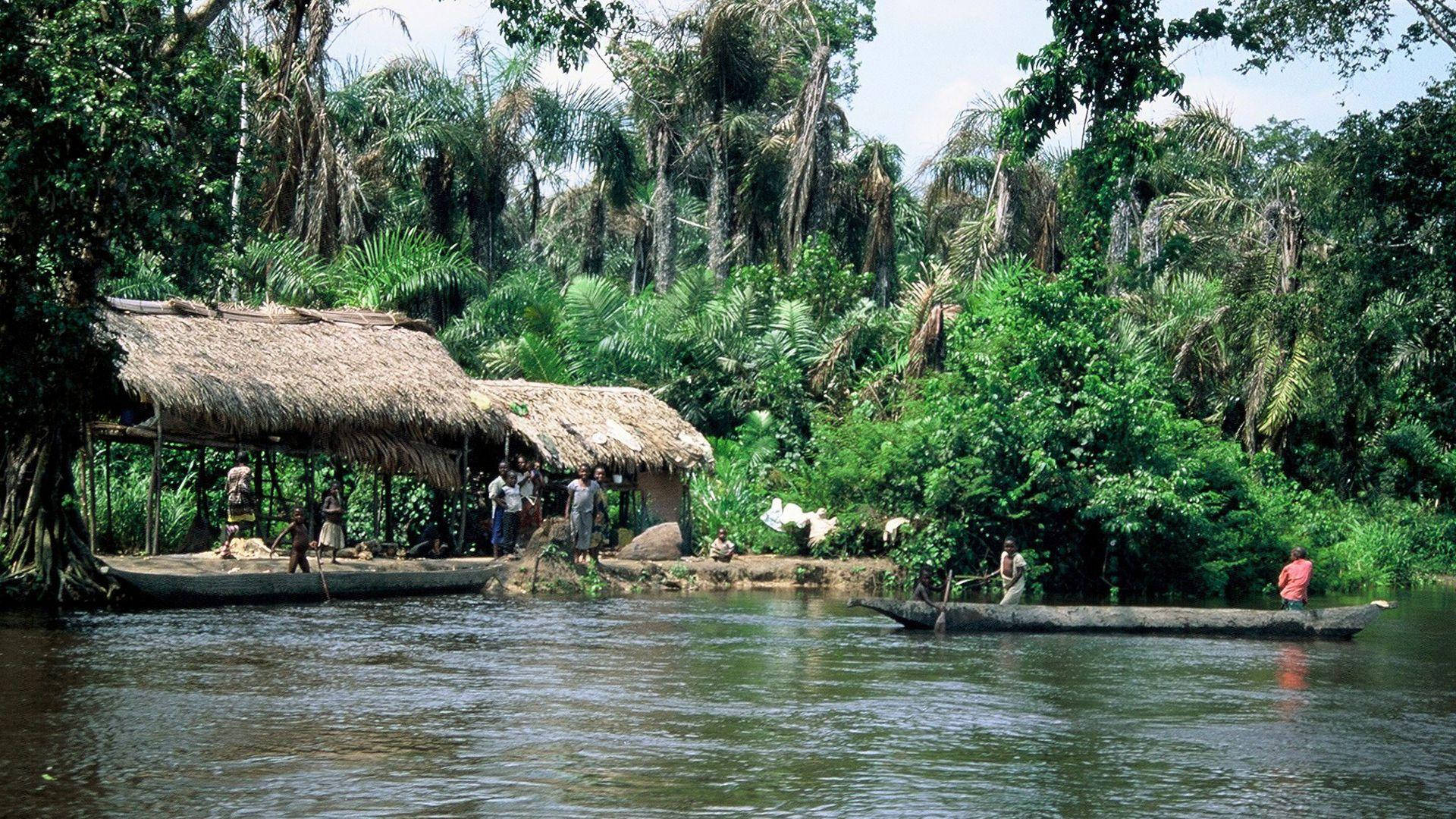 Nipa Hut In Forest Congo Background