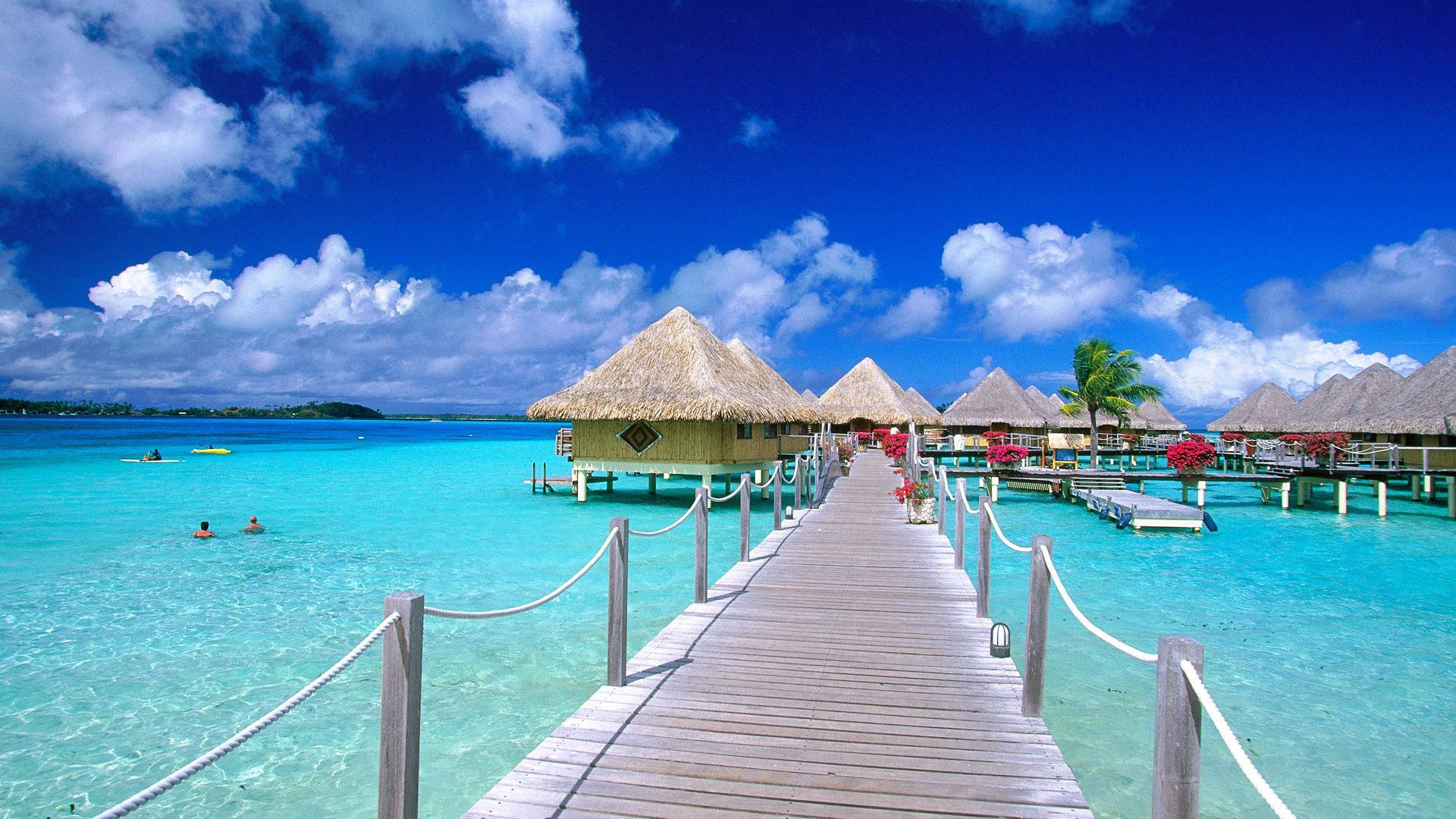 Nipa Huts On Beach In Maldives Desktop Background
