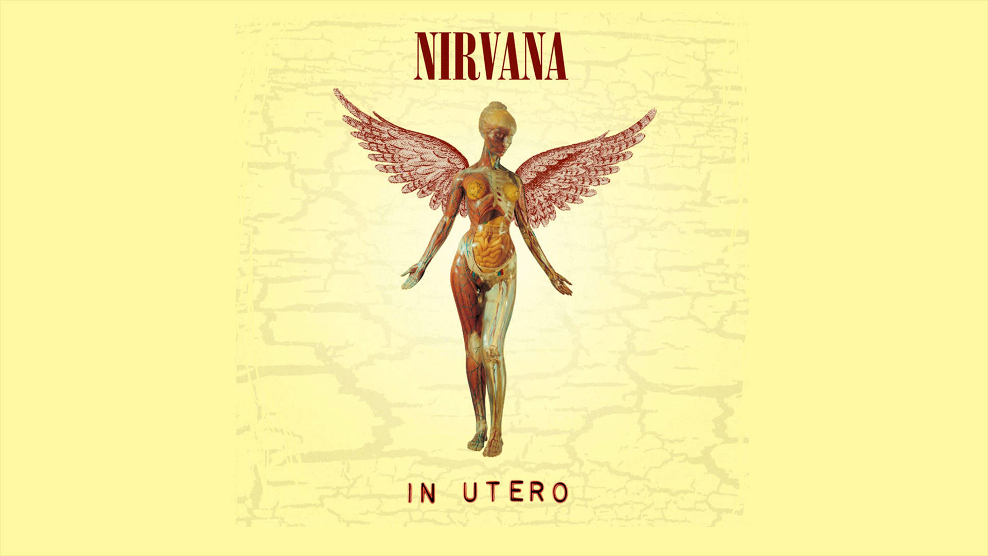 Nirvana In Utero 4k - Iconic Album Cover Art Background