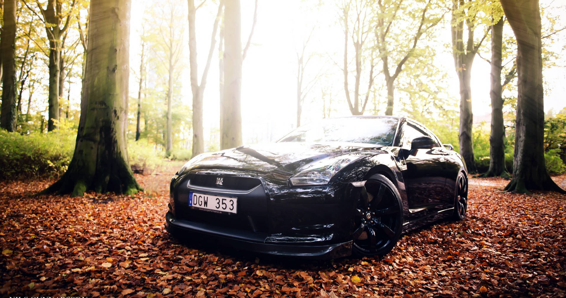 Nissan Skyline Gtr R35 Autumn Forest Background