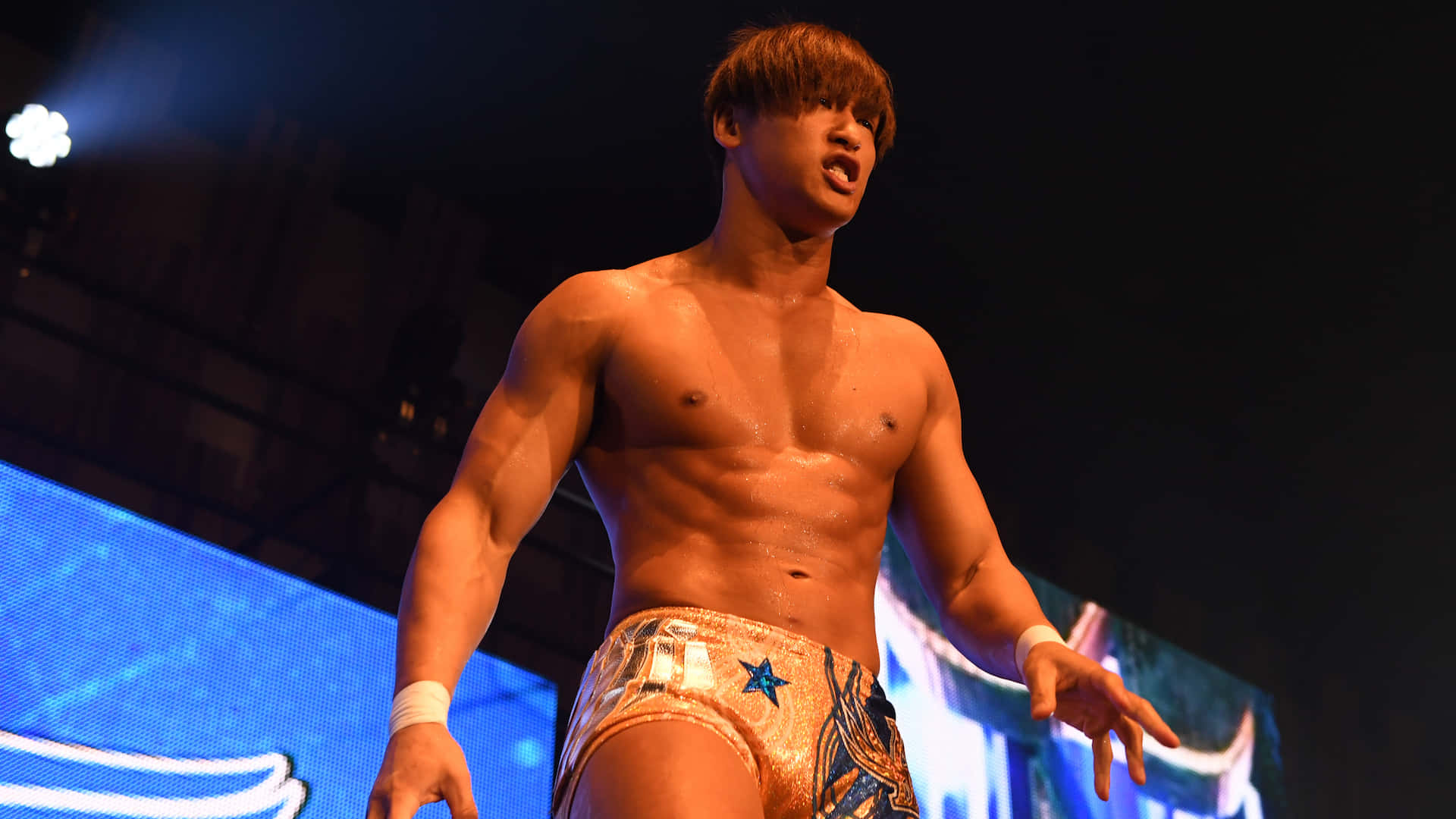 Njpw Star Kota Ibushi