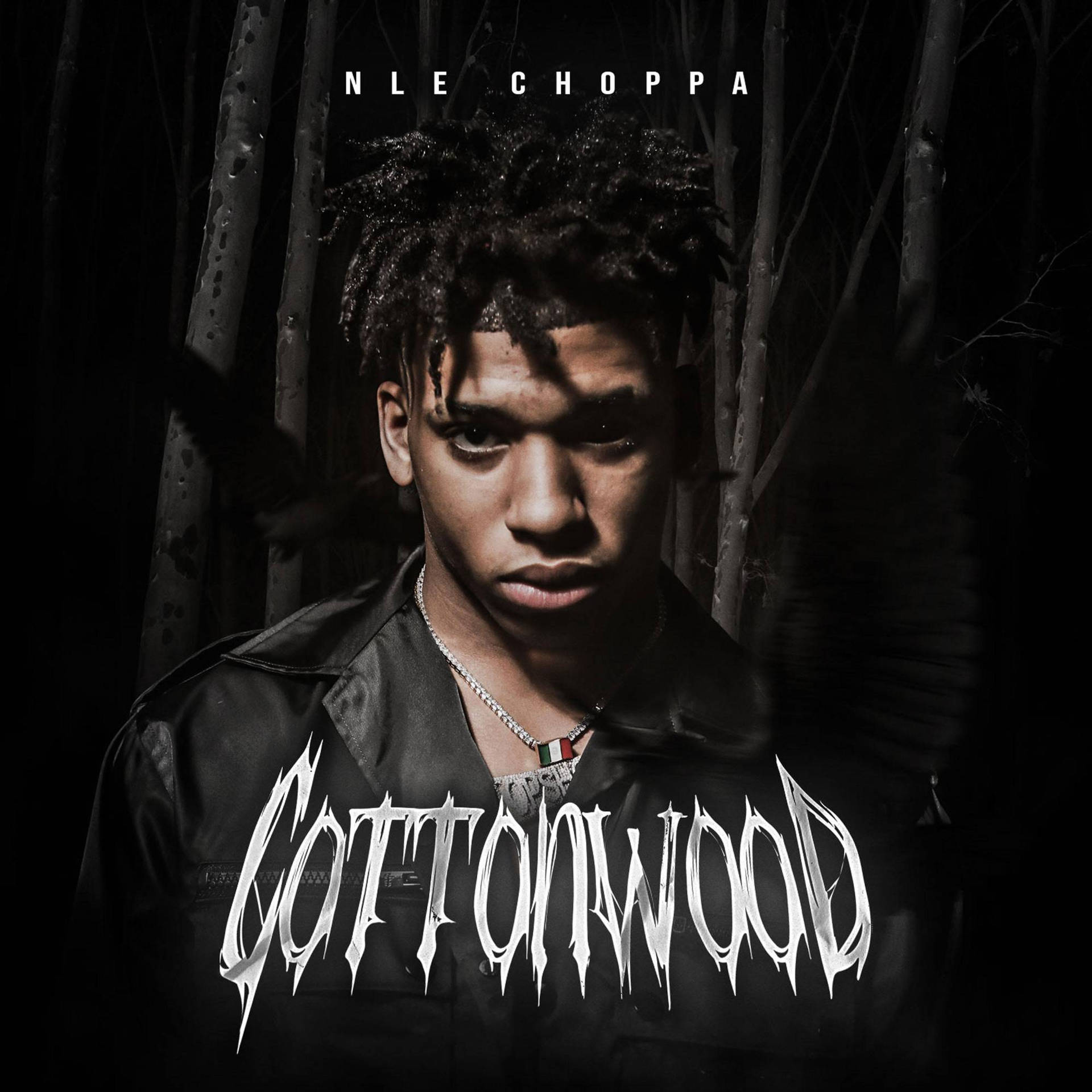 Nle Choppa Cottonwood Background
