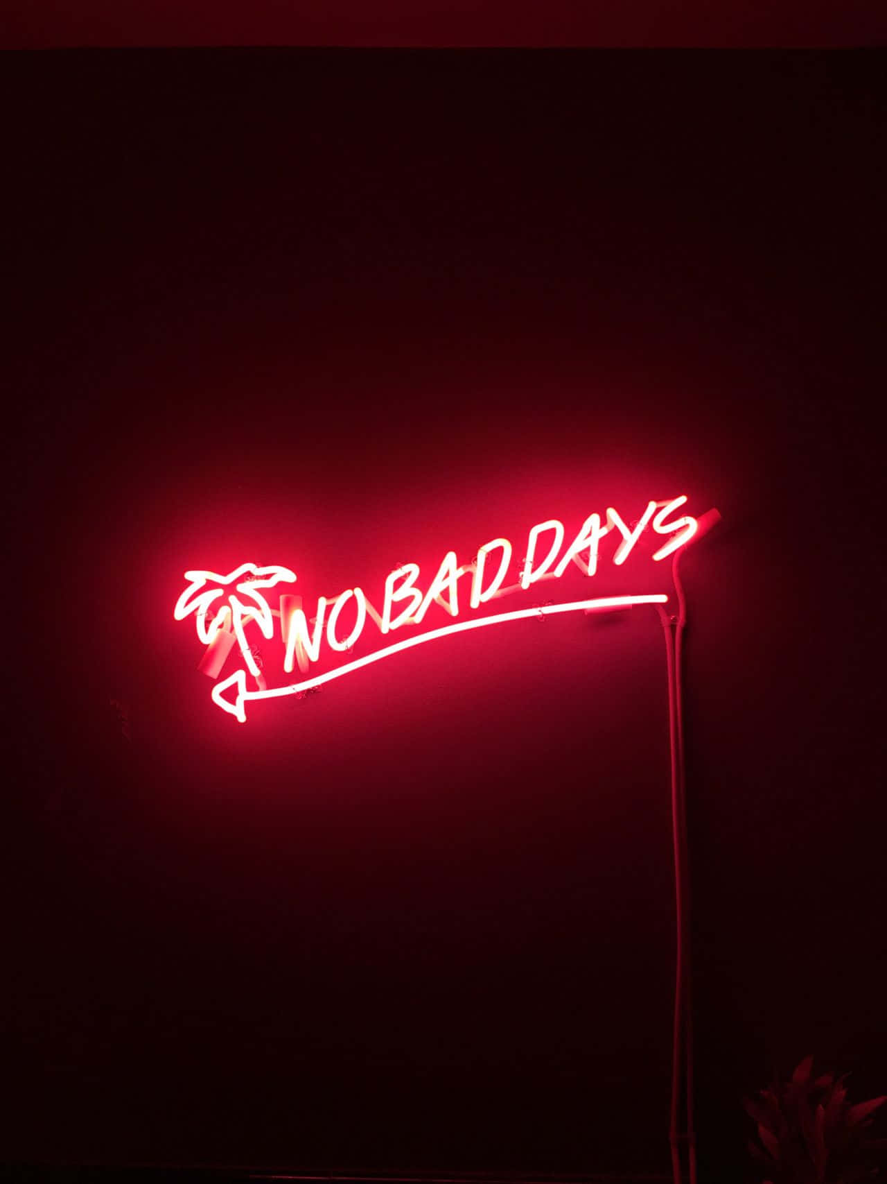 No Bad Days Neon Sign Background