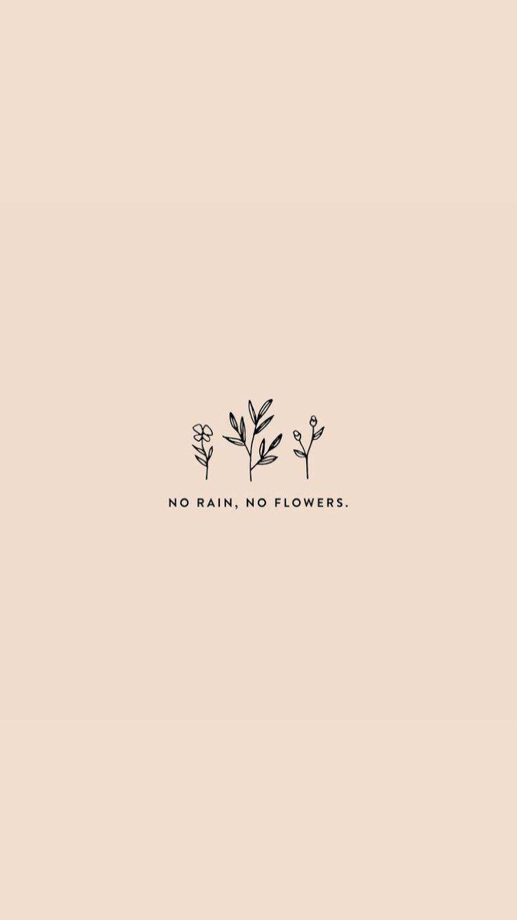 No Rain No Flowers Small Quotes Background