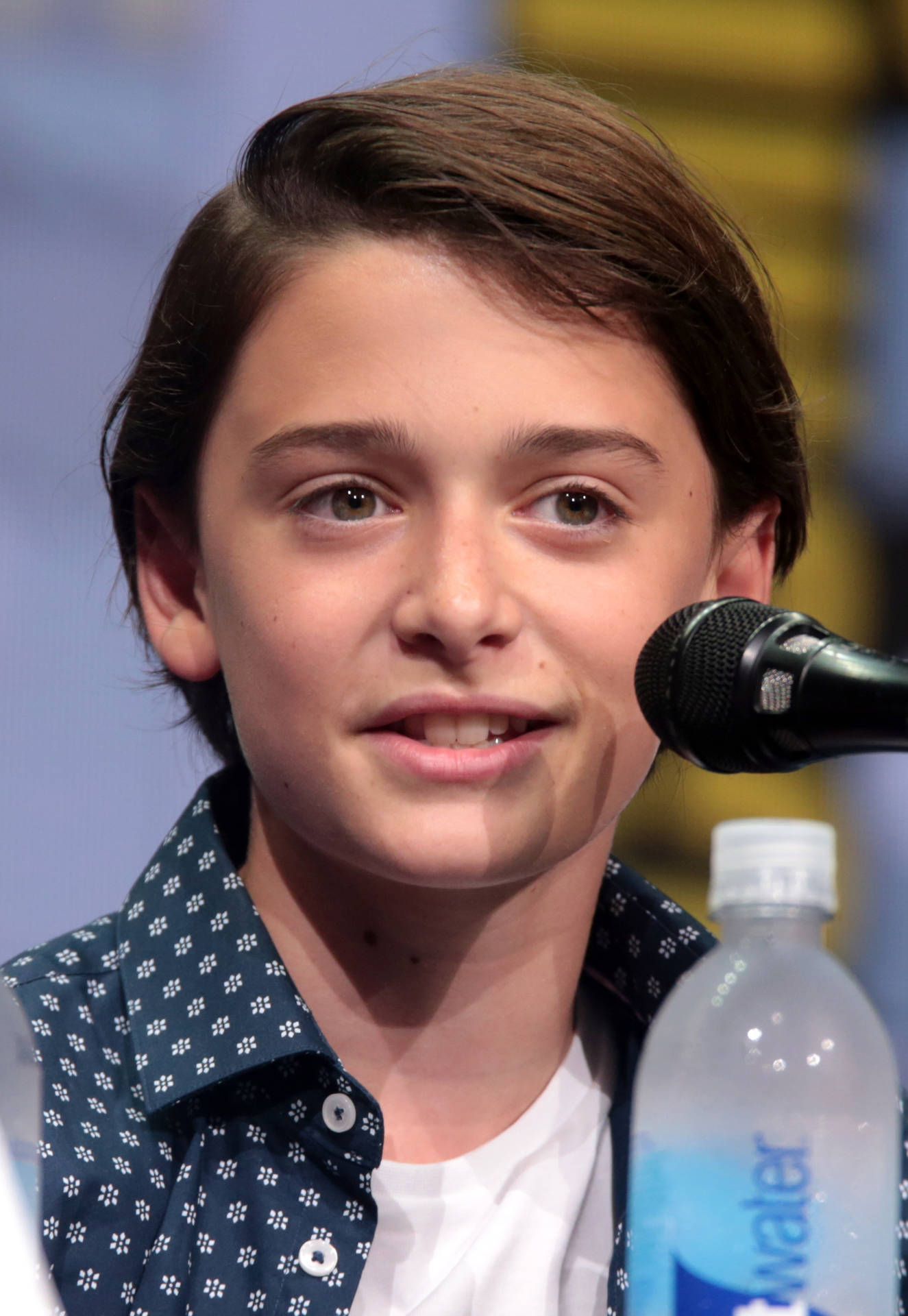 Noah Schnapp At San Diego Comic-con Background