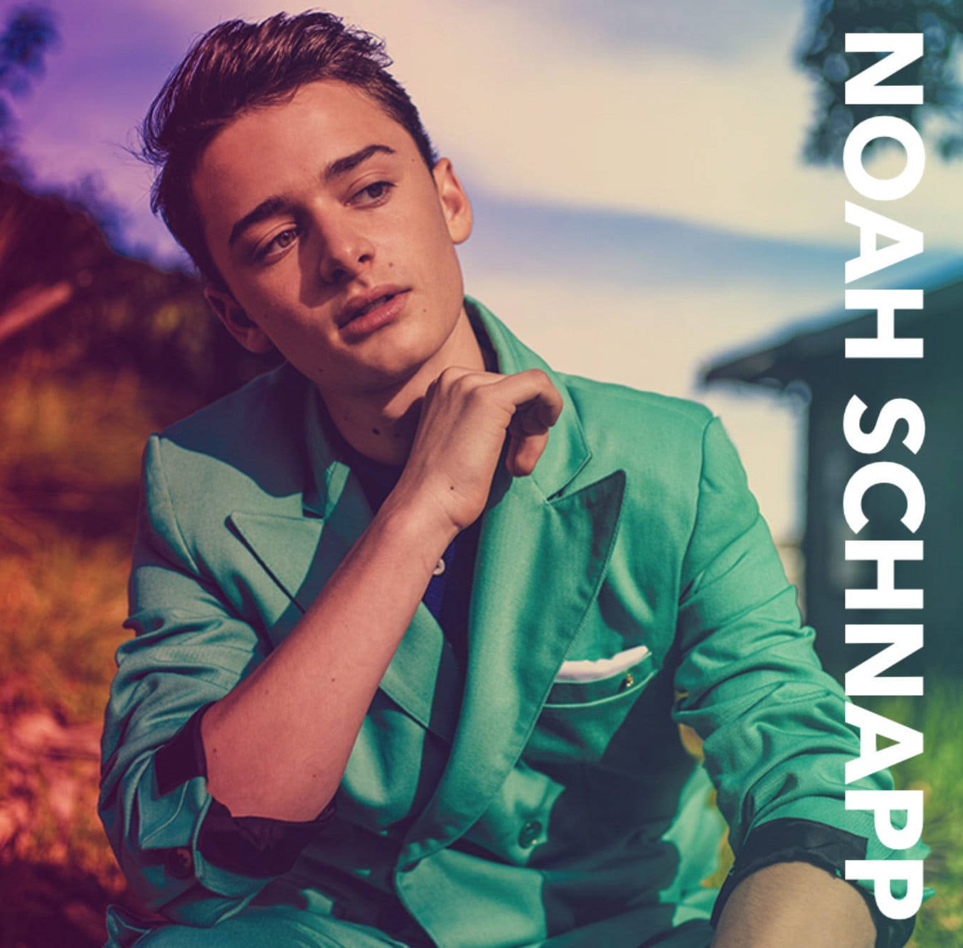 Noah Schnapp Poster