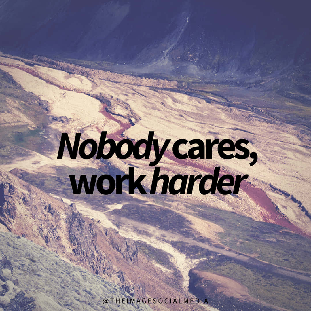 Nobody Cares, Work Harder Background
