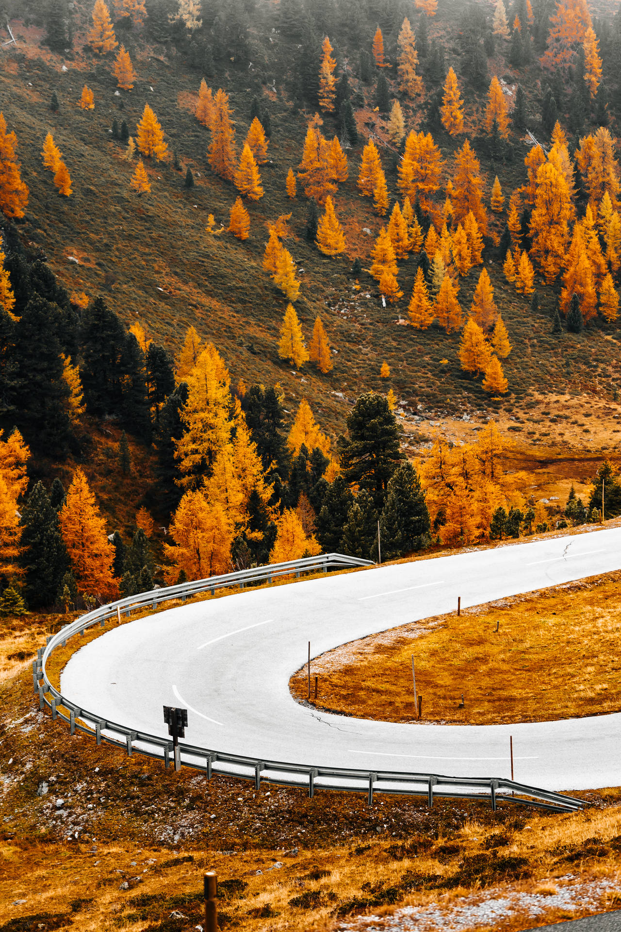 Nockalm Road Best Autumn Background