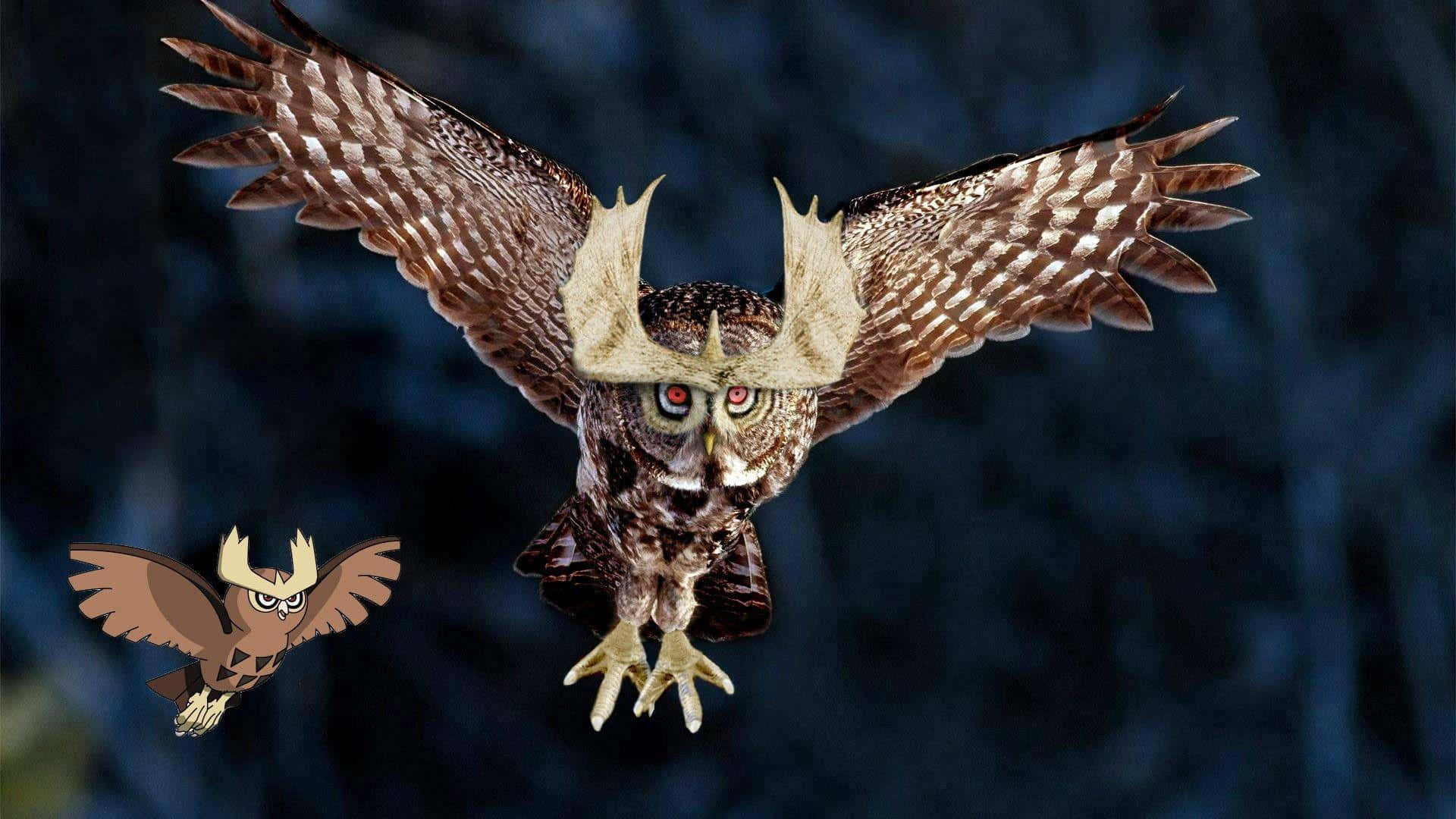 Noctowl Inspired Owl Flight Background