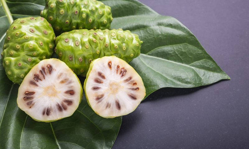 Noni Fruits On A Gray Table Background