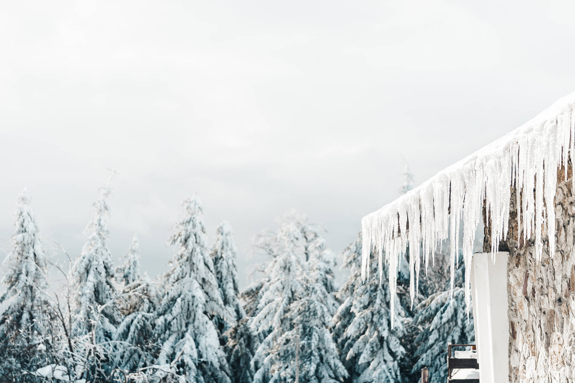Nordic Forest With Icicles Background