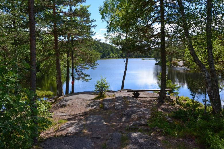 Nordic Forest With Lake Background