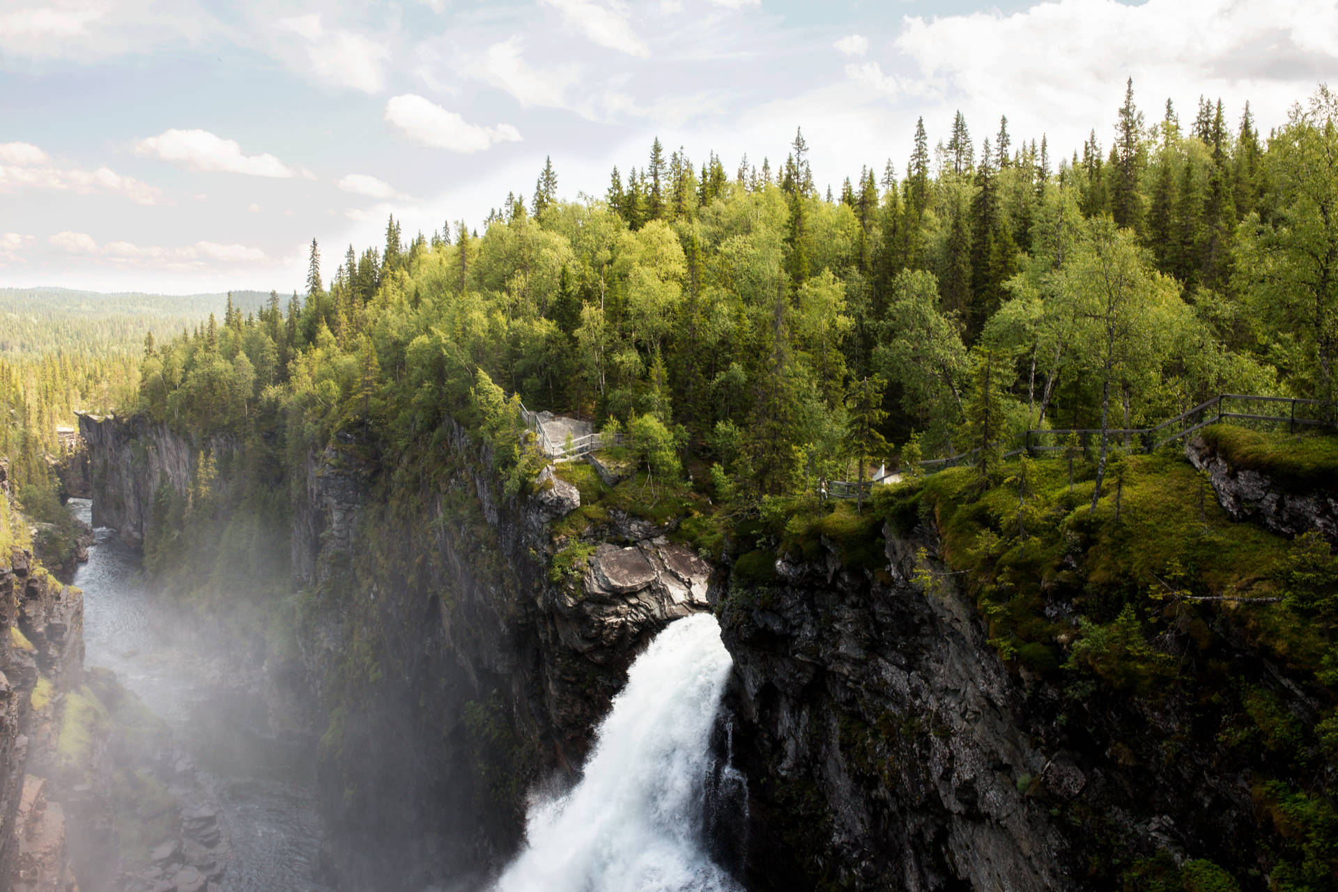 Nordic Forest With Waterfall Background
